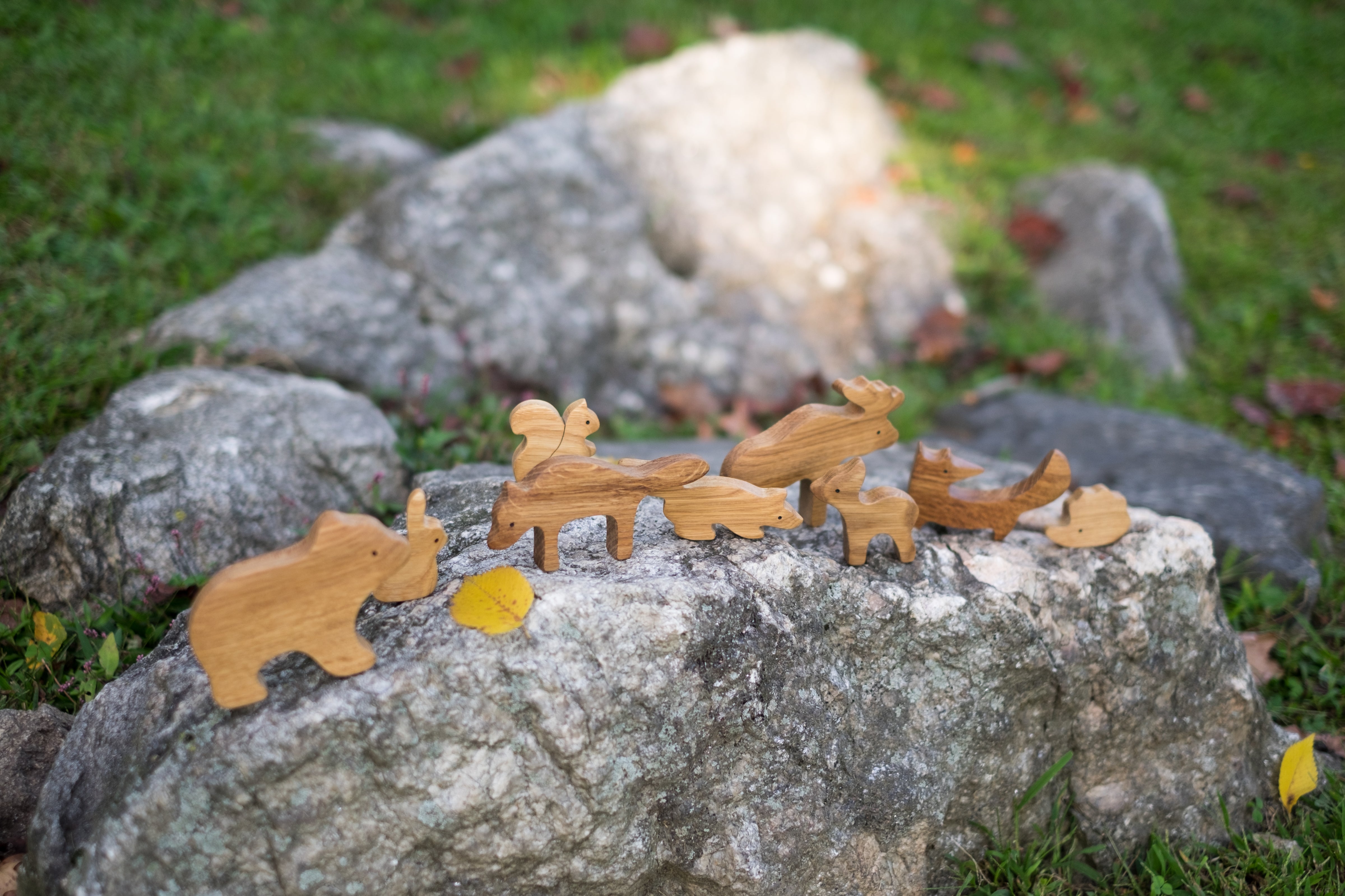 Wooden animal figurines on a rock with a natural background