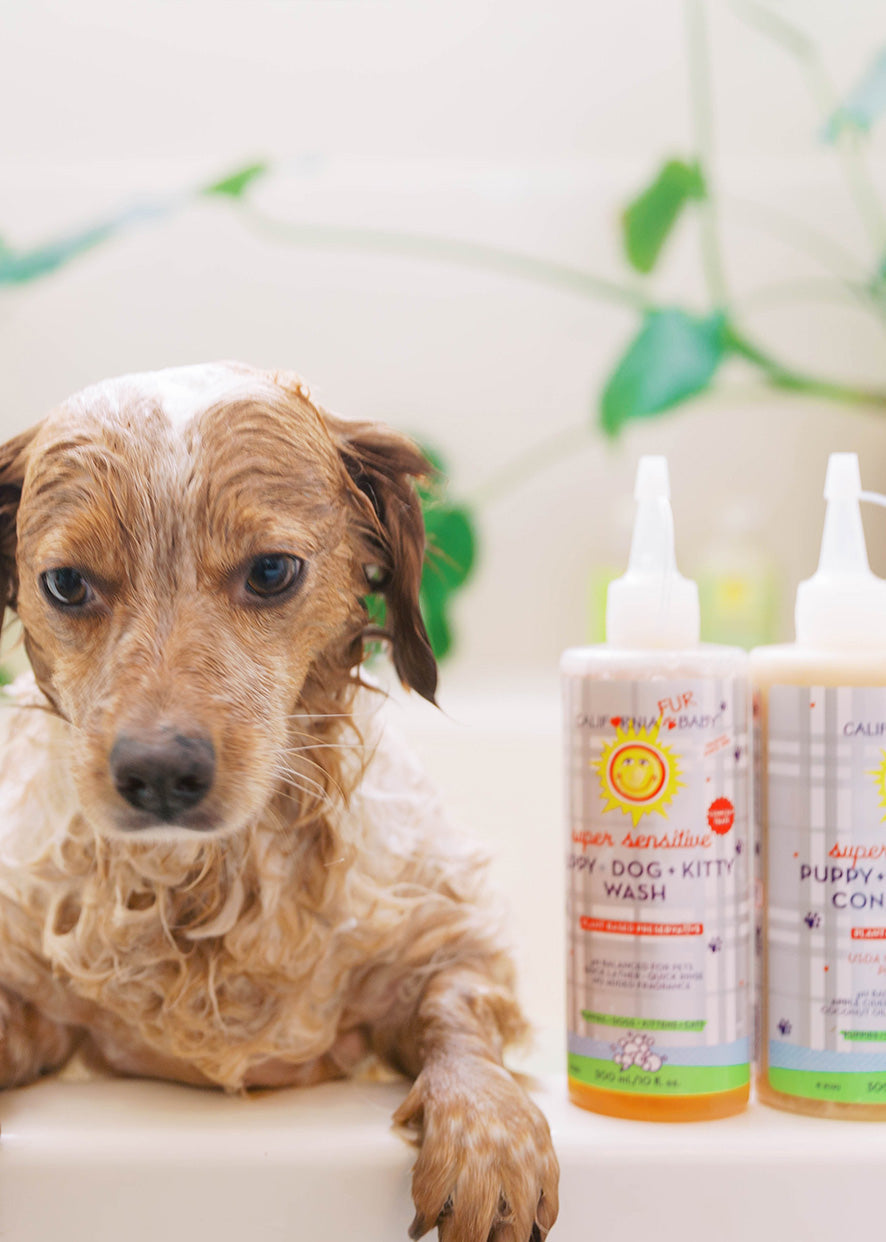 California Baby (No Fragrance) Super Sensitive™ Puppy + Dog + Kitty Wash & Conditioner Set