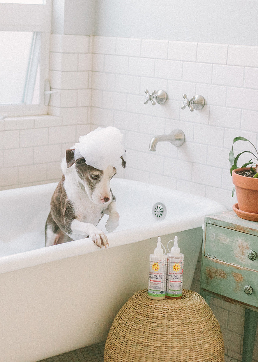 California Baby (No Fragrance) Super Sensitive™ Puppy + Dog + Kitty Wash & Conditioner Set