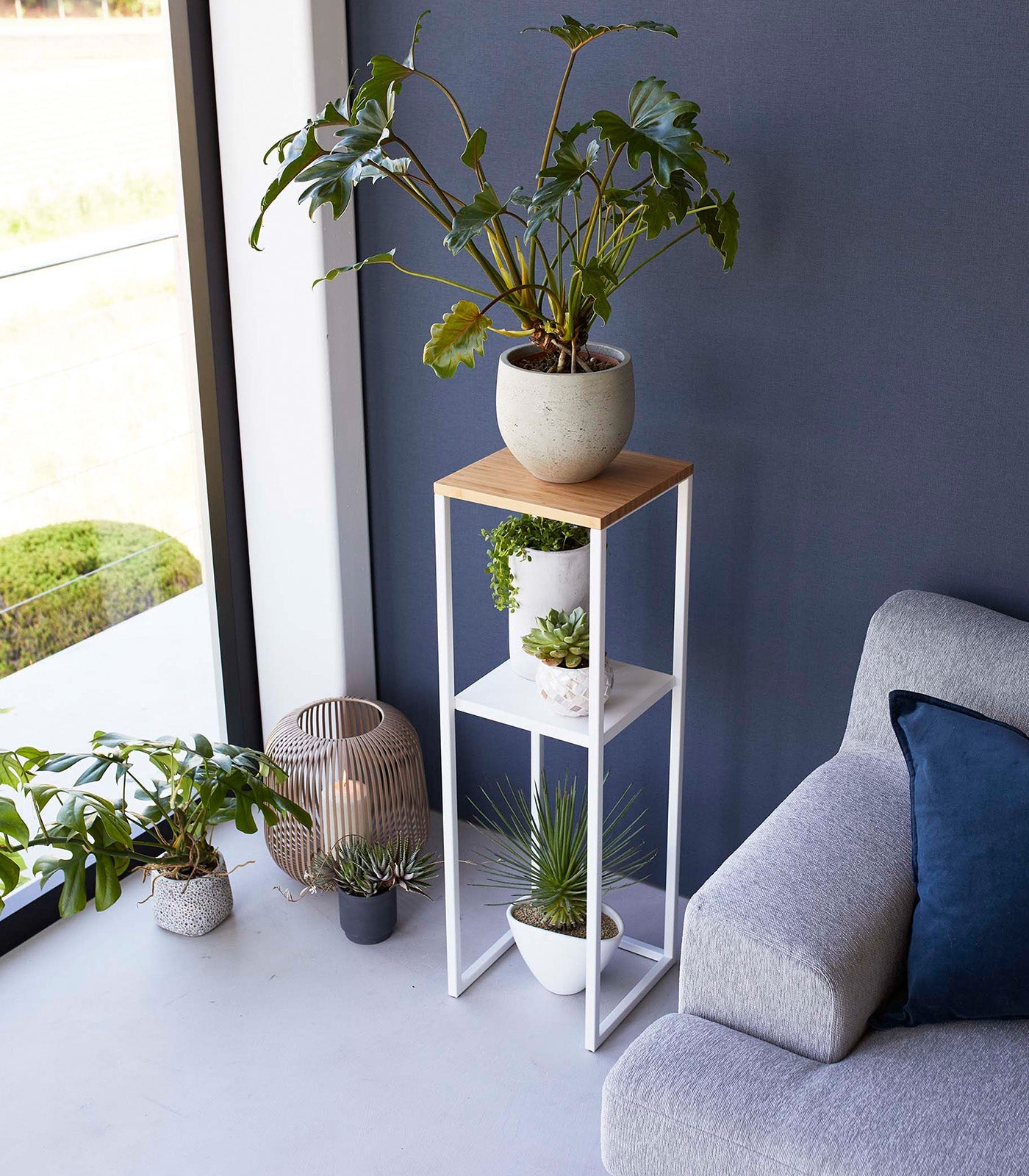 Modern living room with a gray sofa, plant stand, and various potted plants.