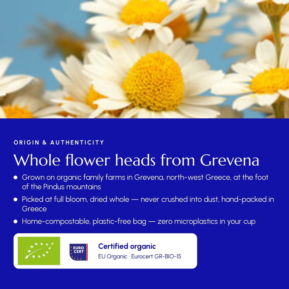 Greek Superherbs Greek Chamomile Tea (Grevena)