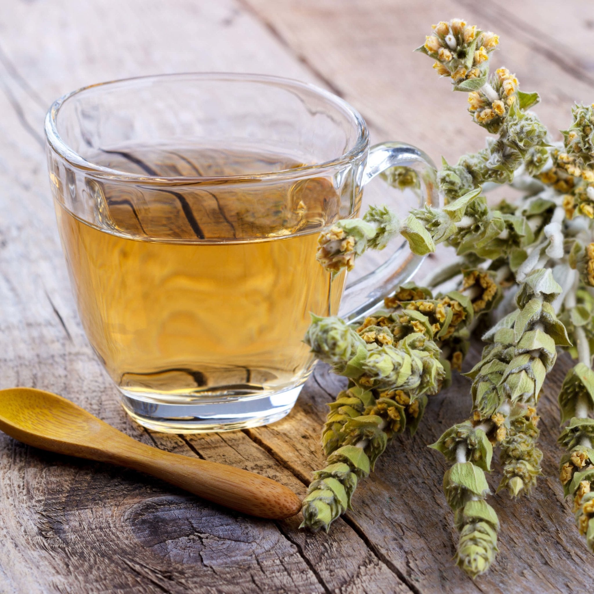 Greek Superherbs Greek Mountain Tea (Mount Olympus)
