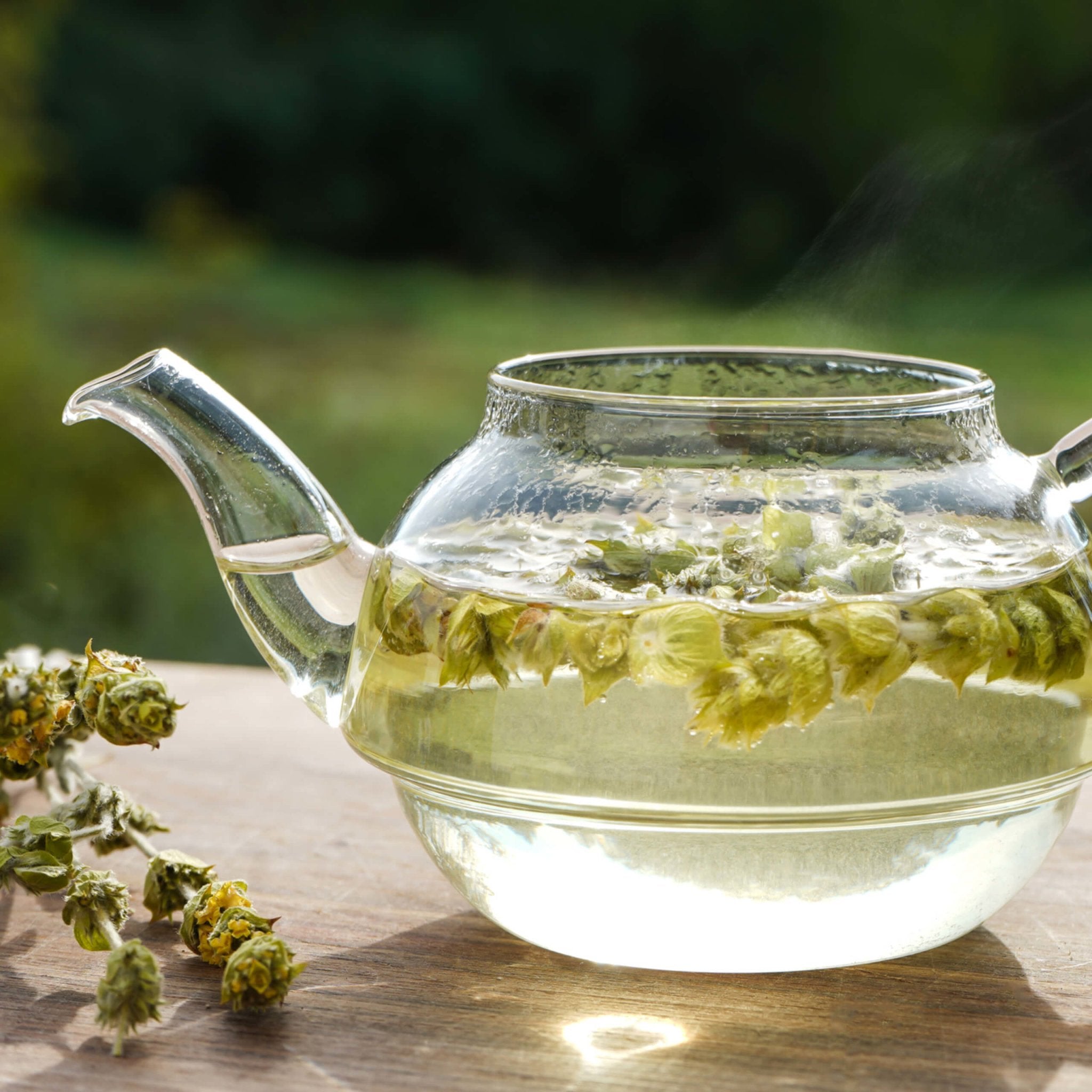 Greek Superherbs Greek Mountain Tea (Mount Olympus)