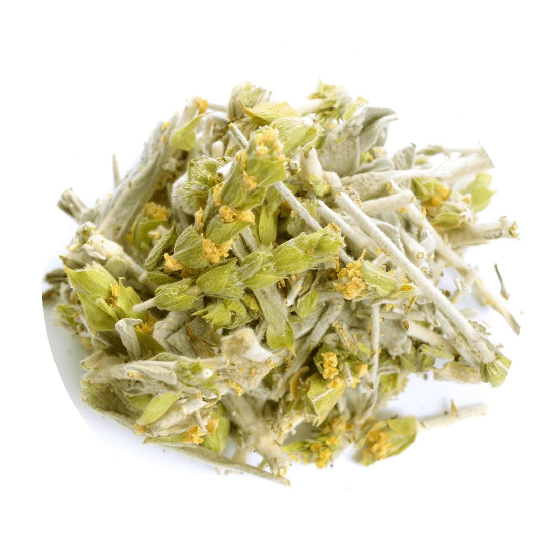 Greek Superherbs Greek Mountain Tea (Mount Olympus)