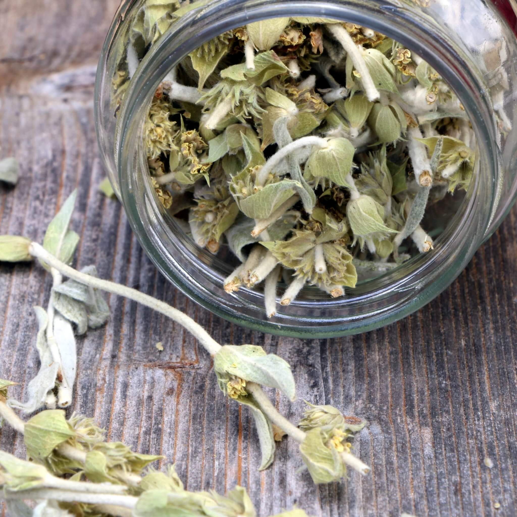Greek Superherbs Greek Mountain Tea (Mount Olympus)