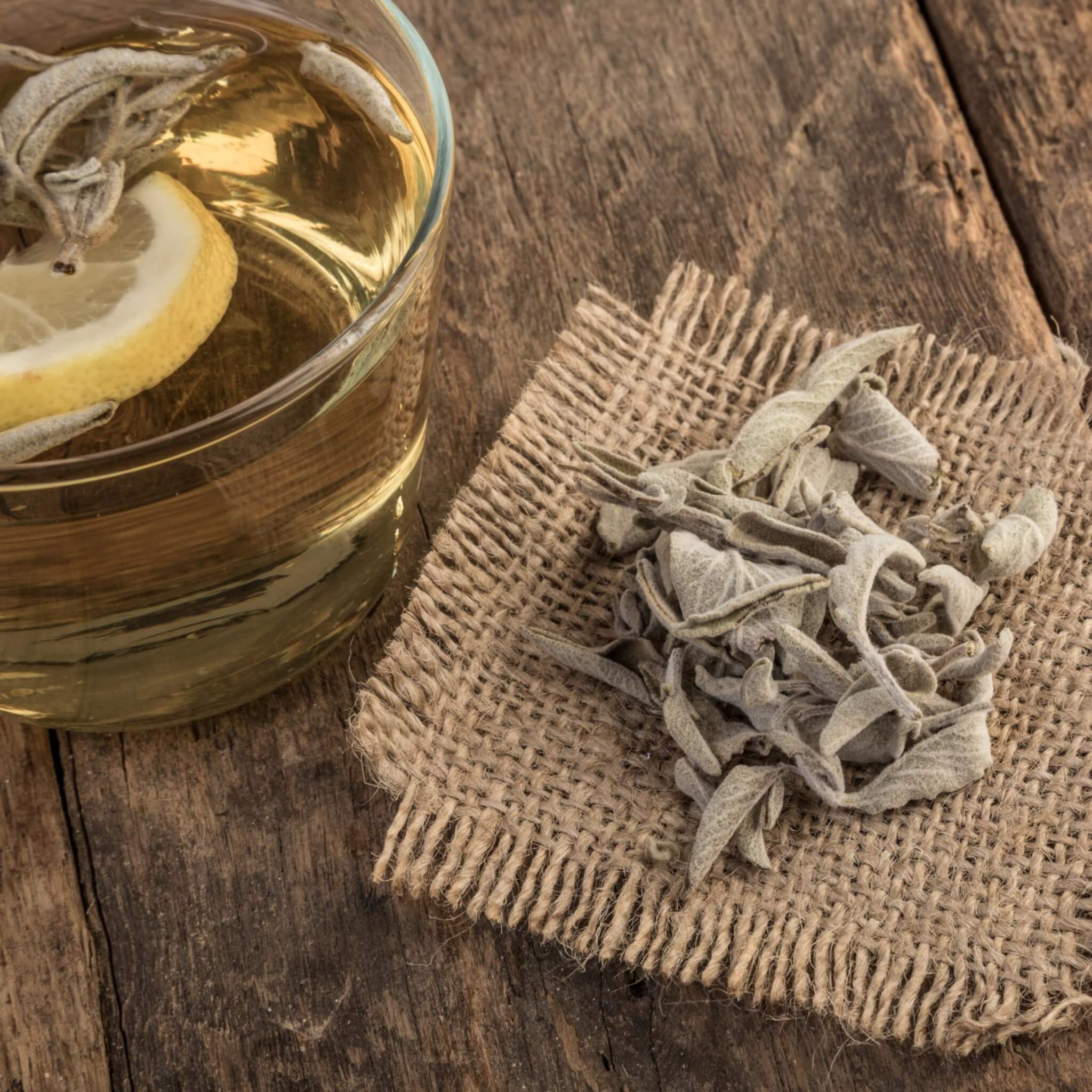 Greek Superherbs Greek Sage (Ikaria, Blue Zone)