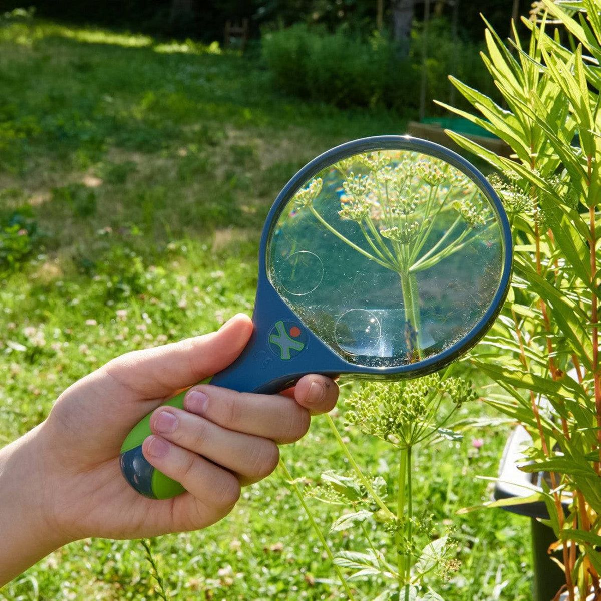 HABA Terra Kids Magnifier