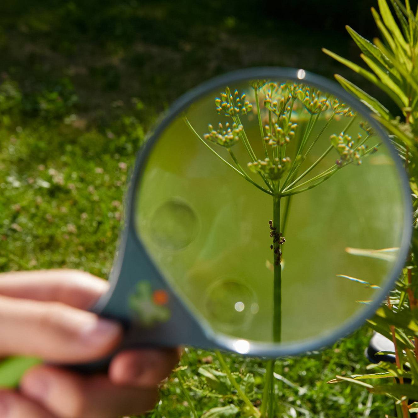 HABA Terra Kids Magnifier