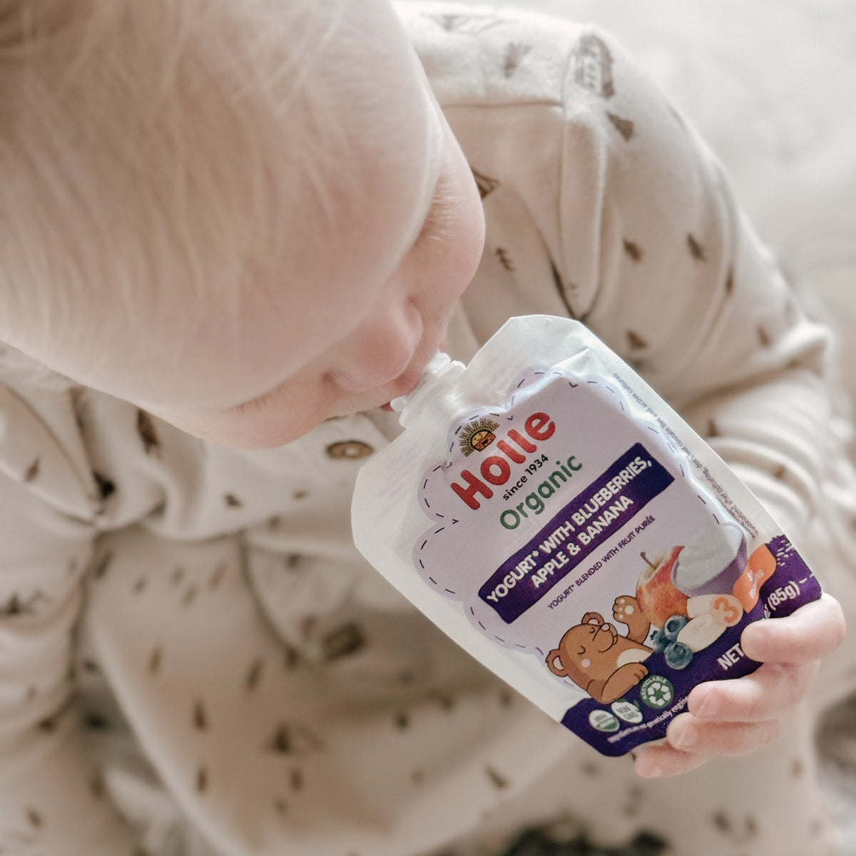 Holle Organic Blueberry, Apple & Banana Yogurt Pouches