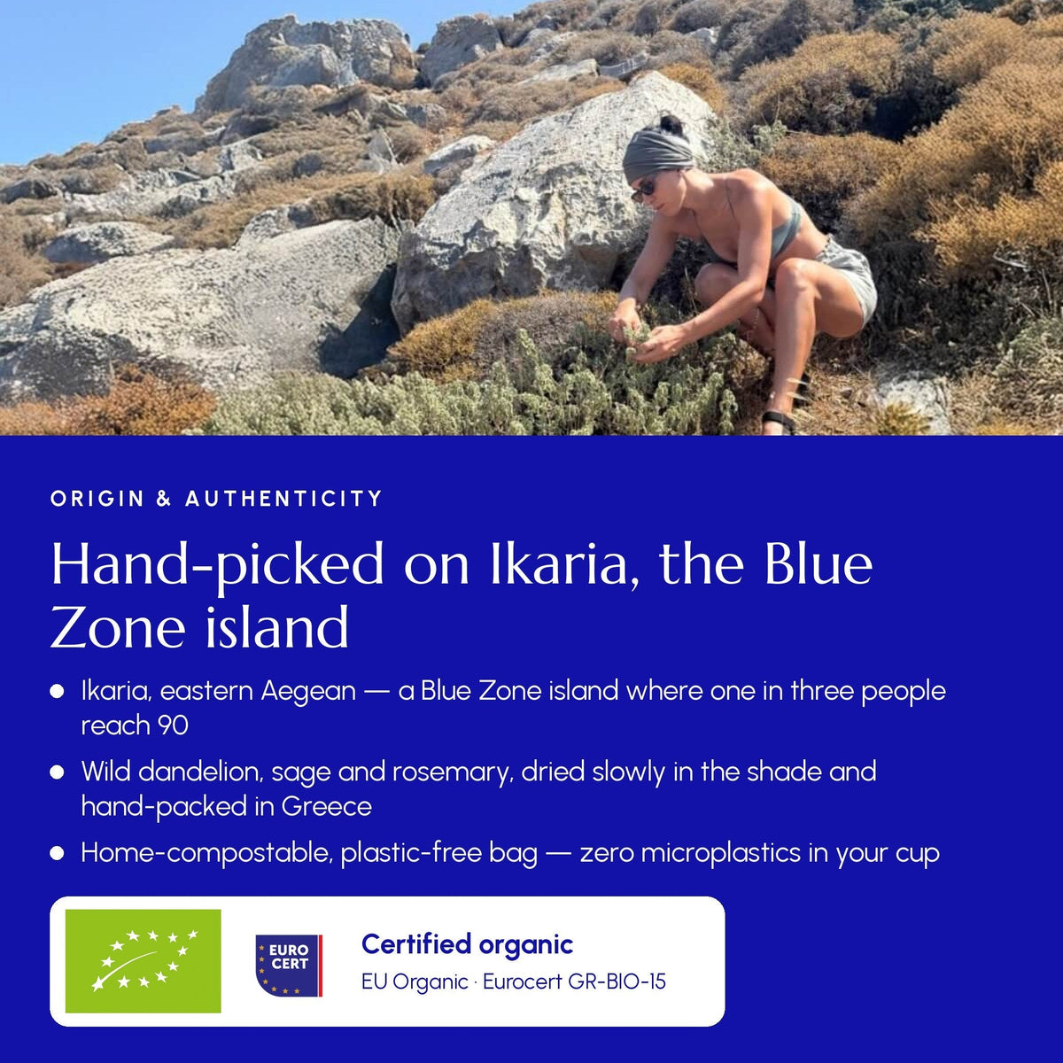 Greek Superherbs Ikaria Tea (Blue Zone)
