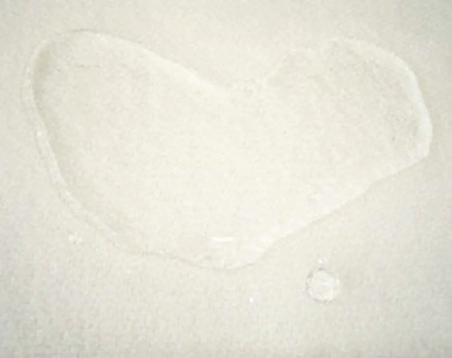 White circular object on a light gray background