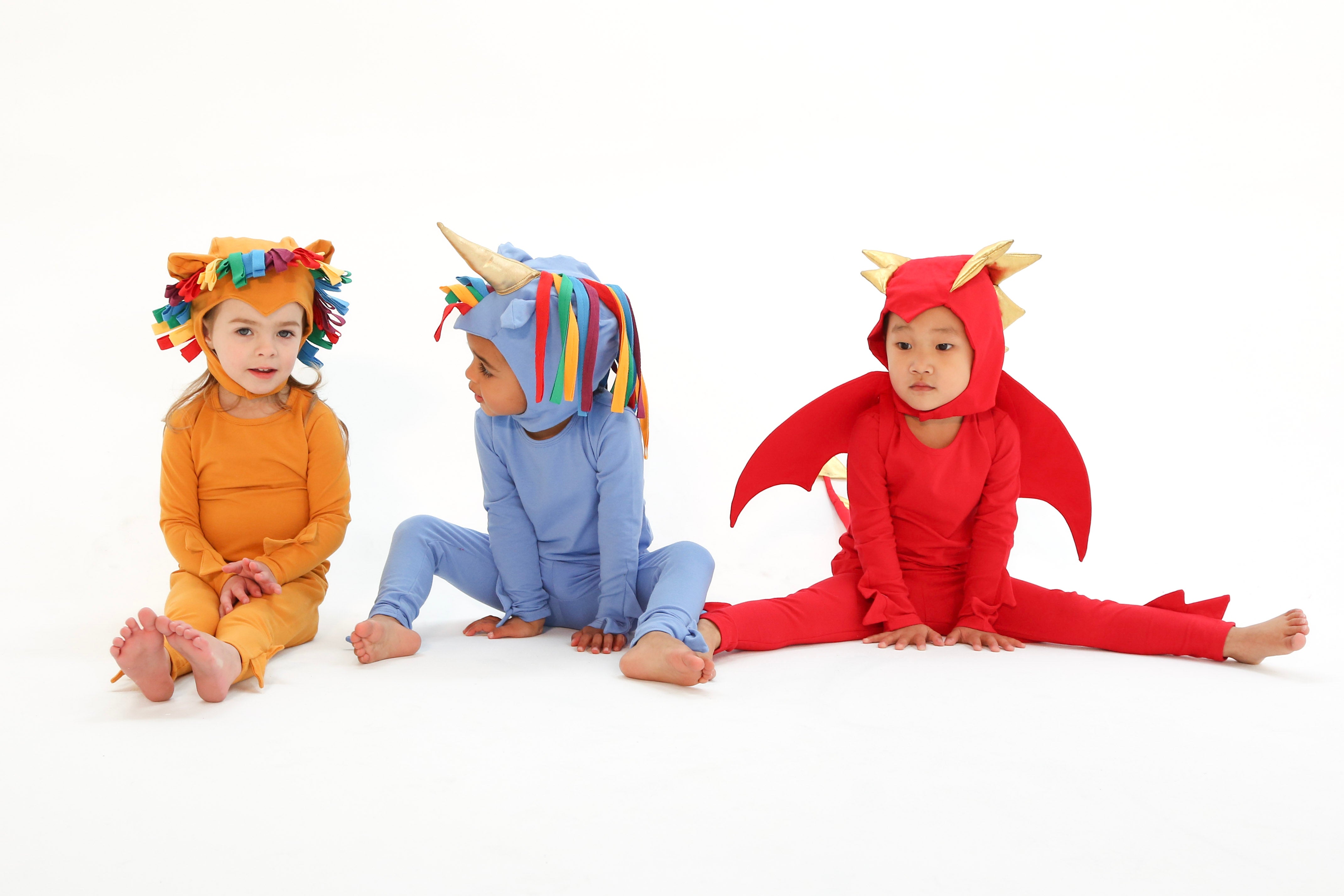 Band of the Wild Rainbow Lion Costume