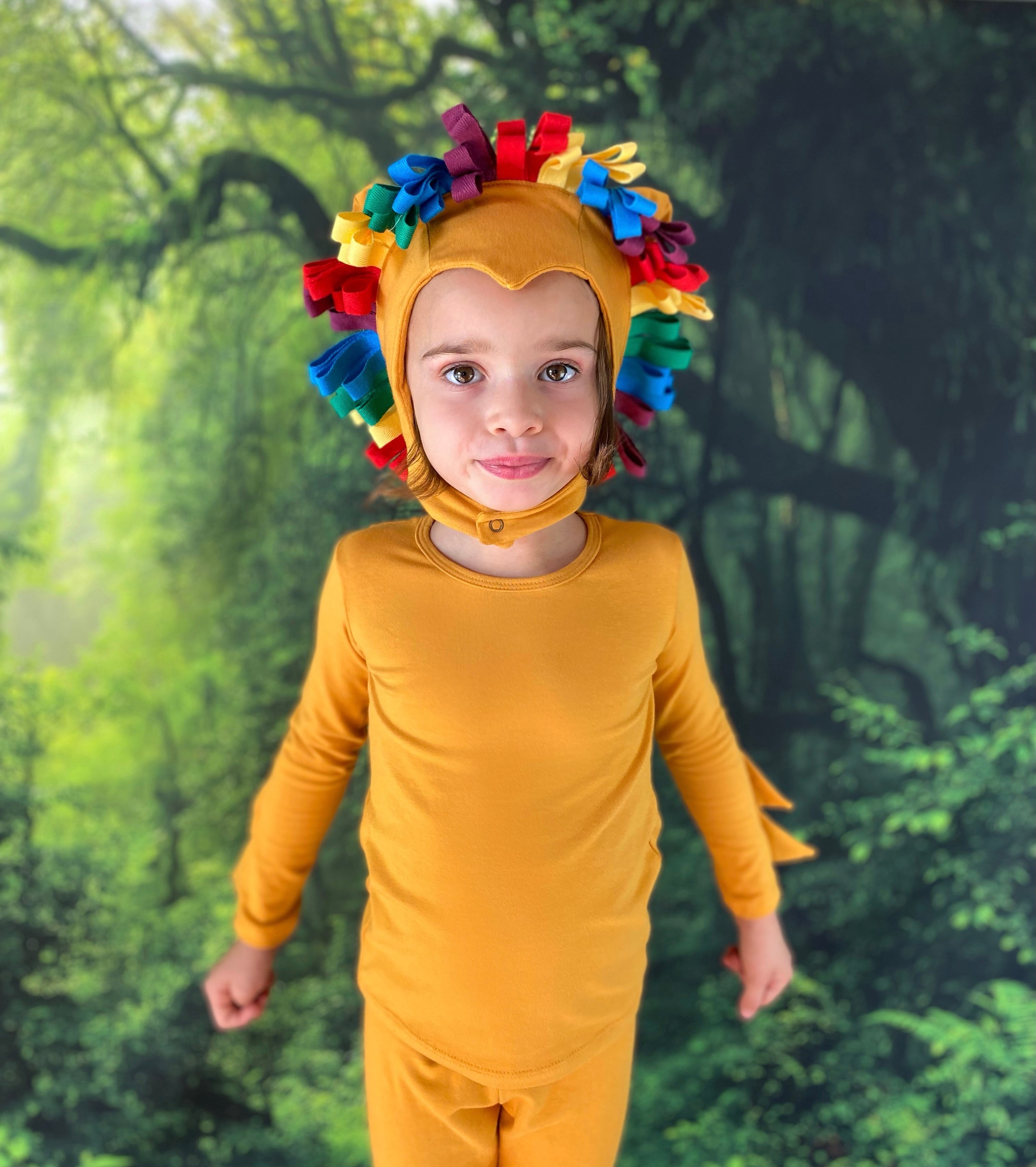 Band of the Wild Rainbow Lion Costume