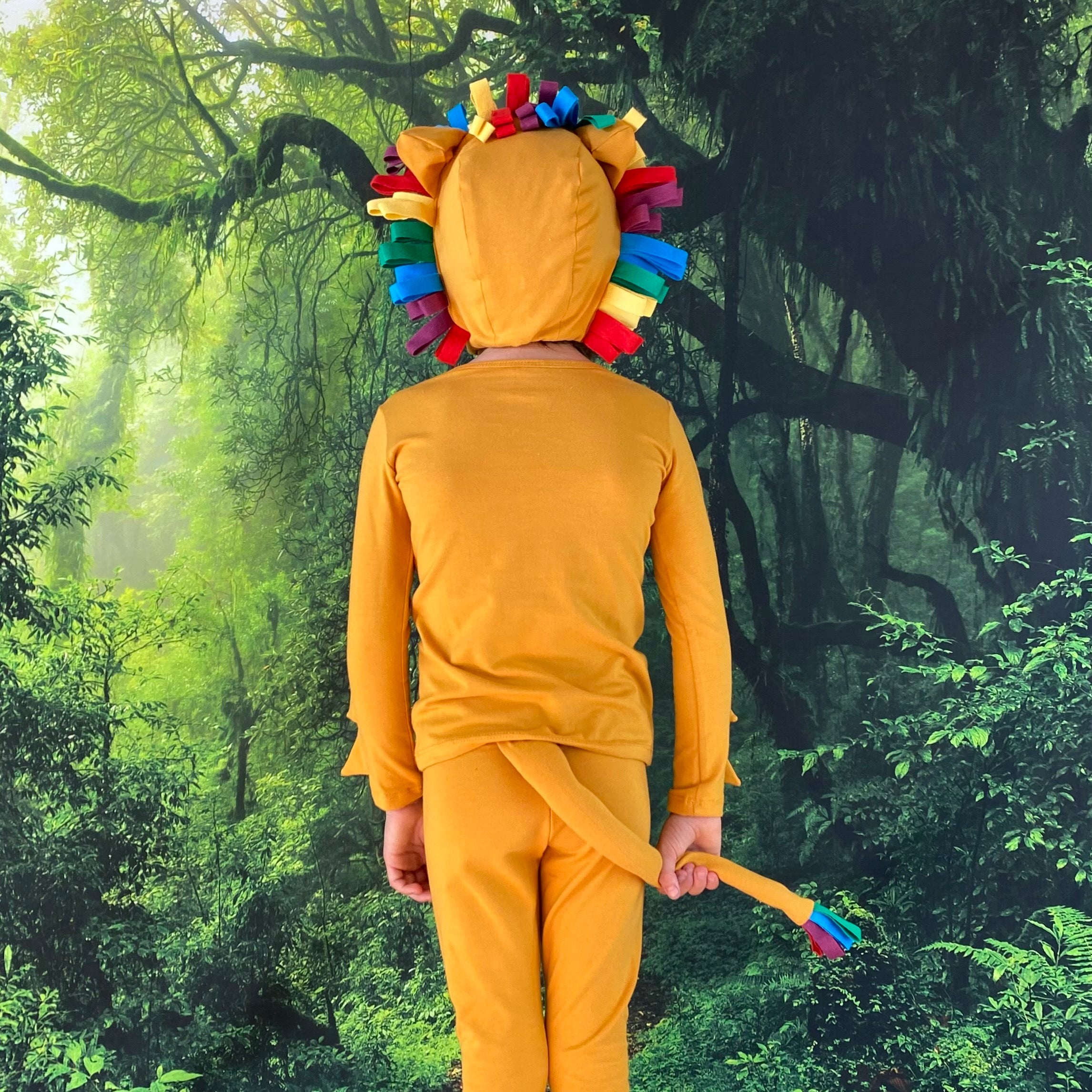 Band of the Wild Rainbow Lion Costume