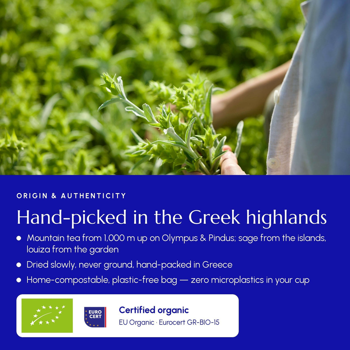 Greek Superherbs Immune Tea