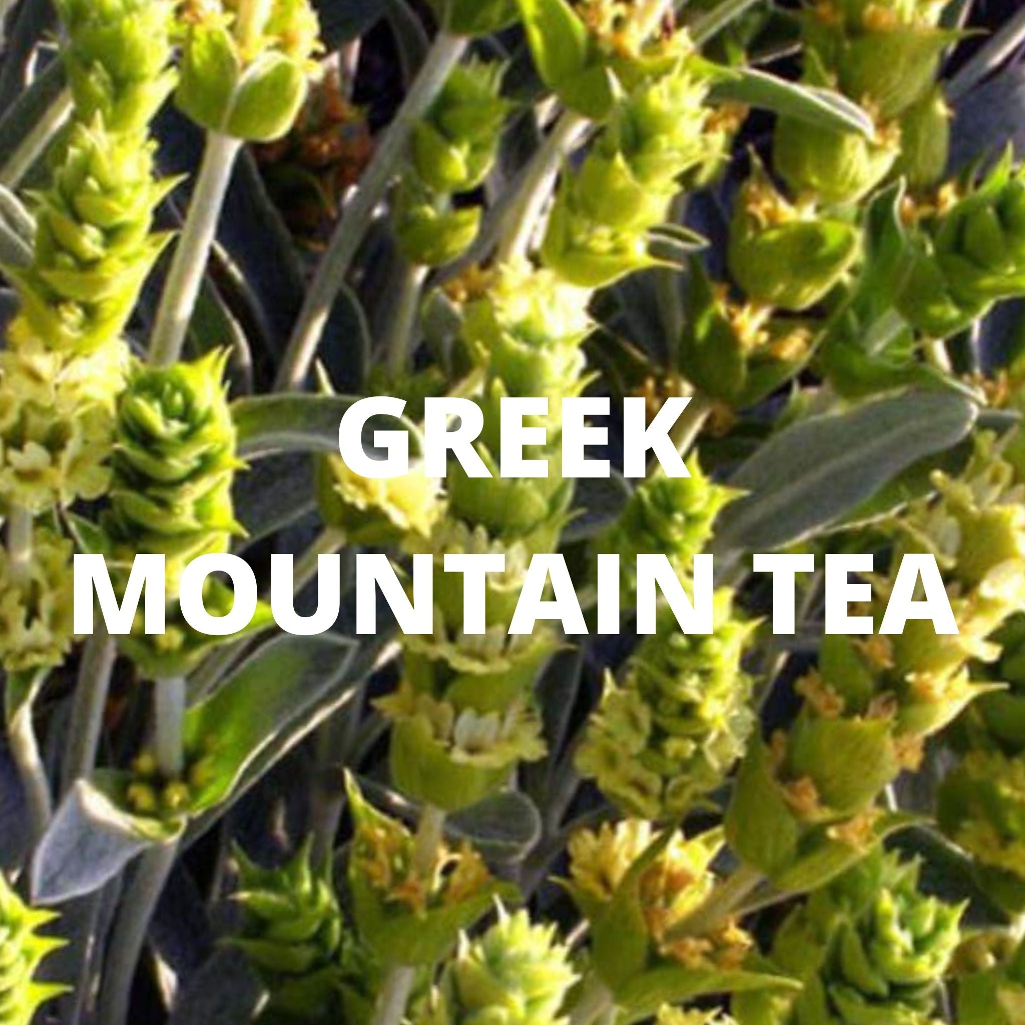 Greek Superherbs Immune Tea