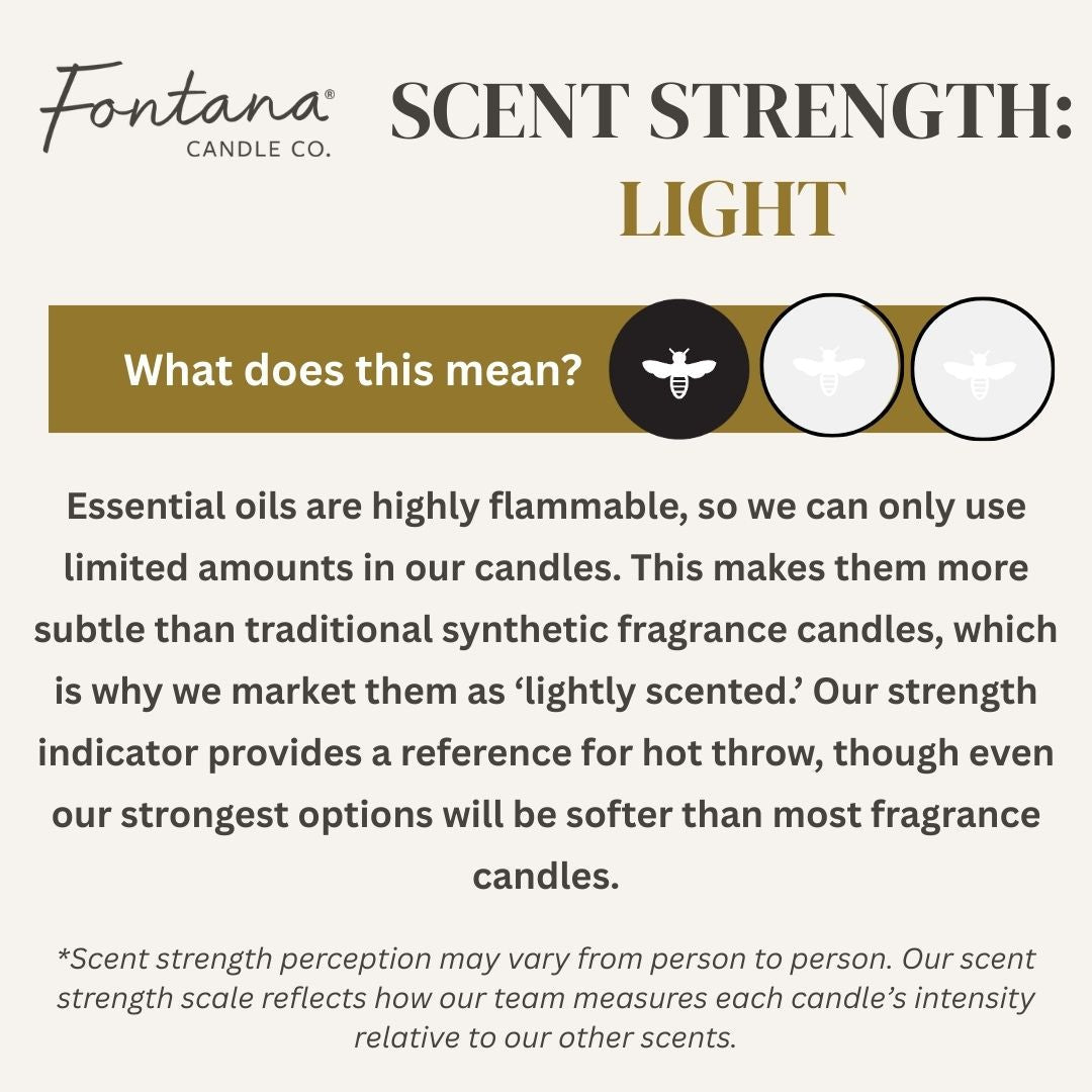 Fontana Candle Co Pure Vanilla Jar Candle