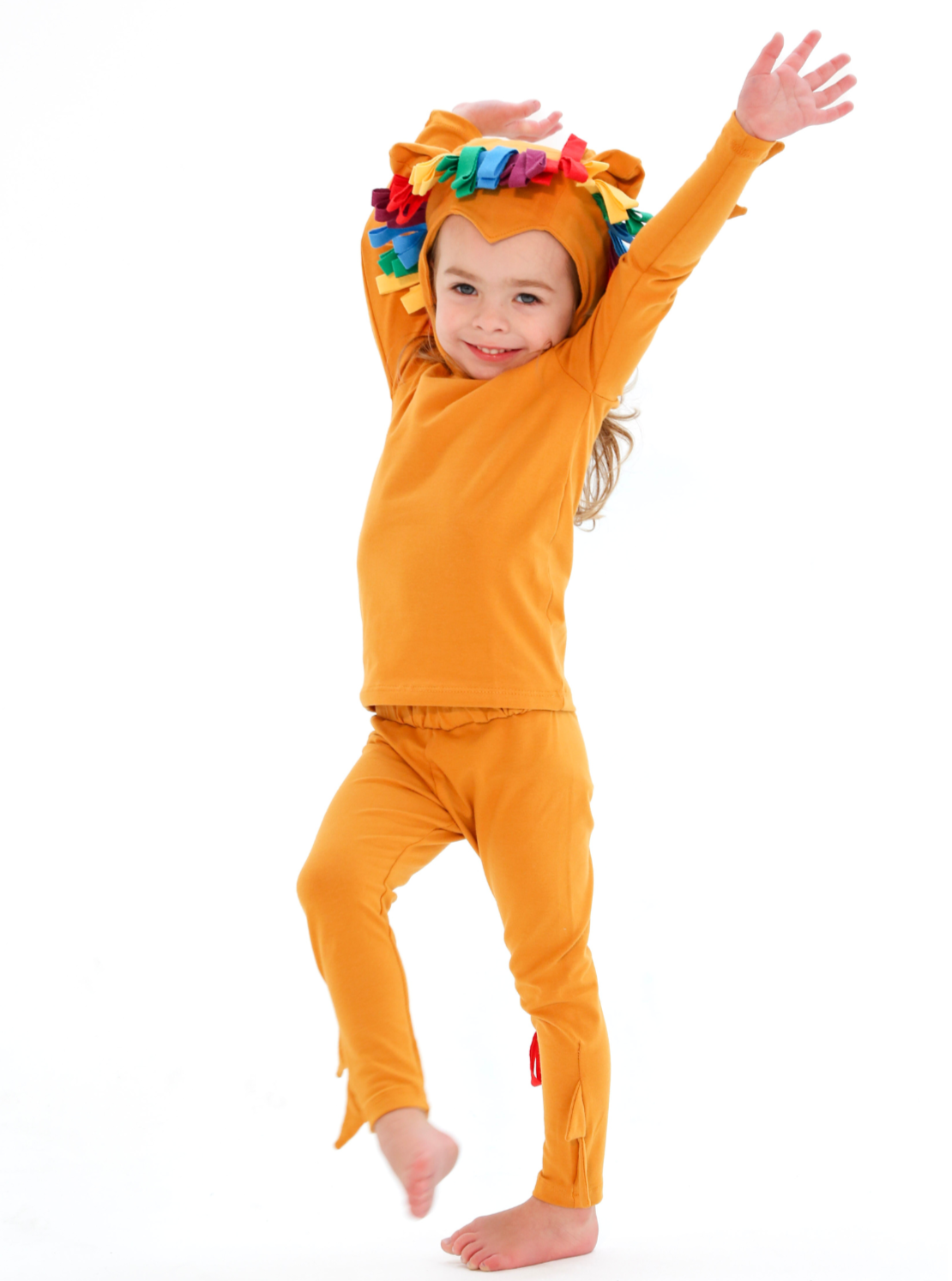Band of the Wild Rainbow Lion Costume