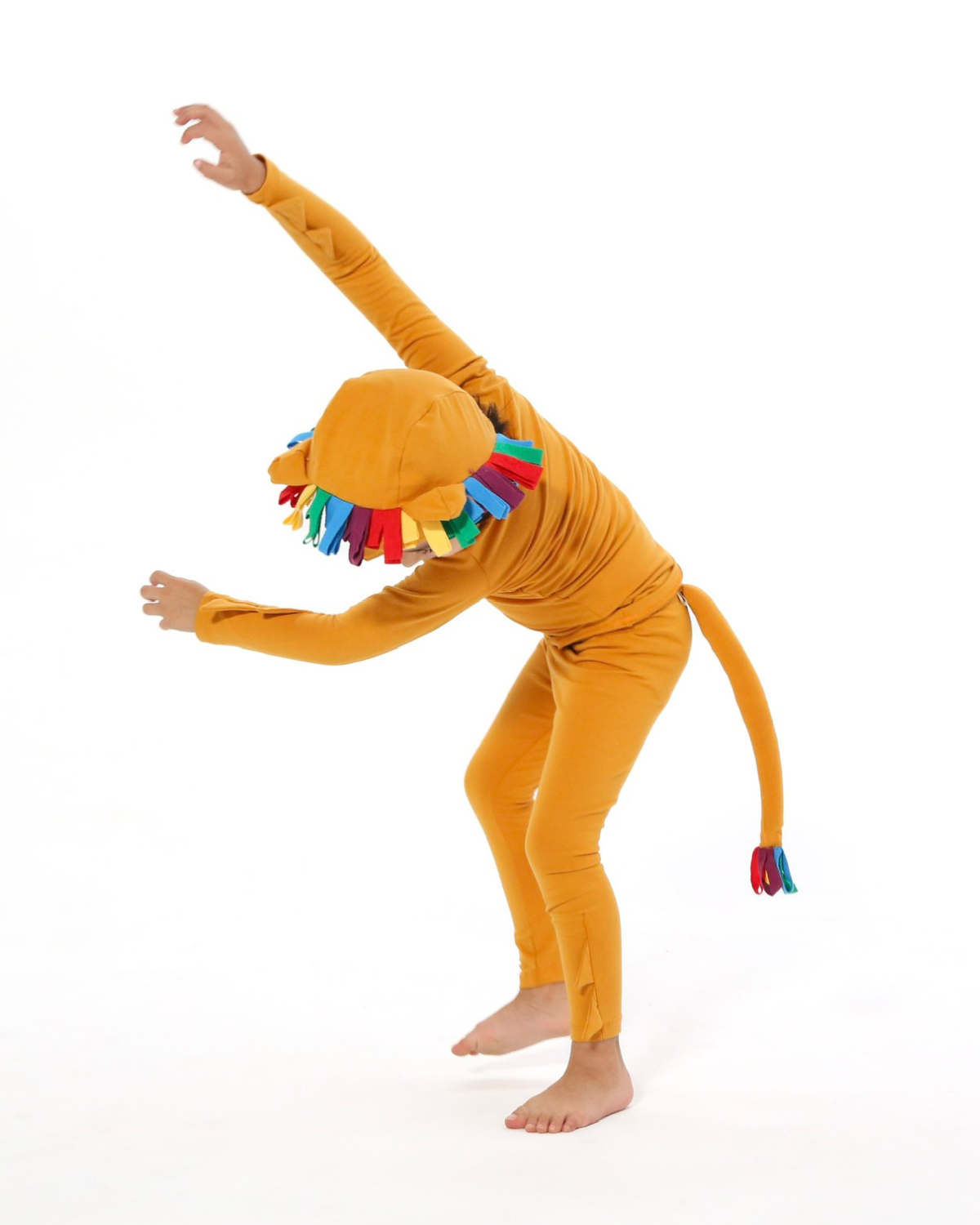 Band of the Wild Rainbow Lion Costume