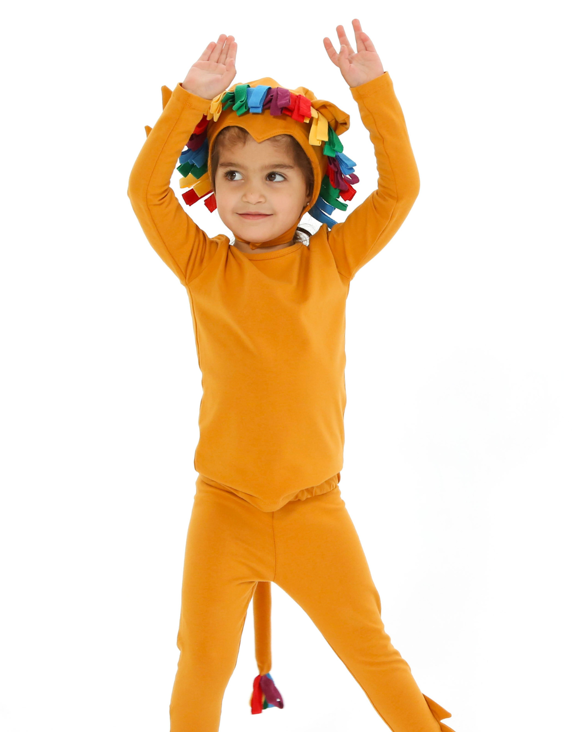 Band of the Wild Rainbow Lion Costume
