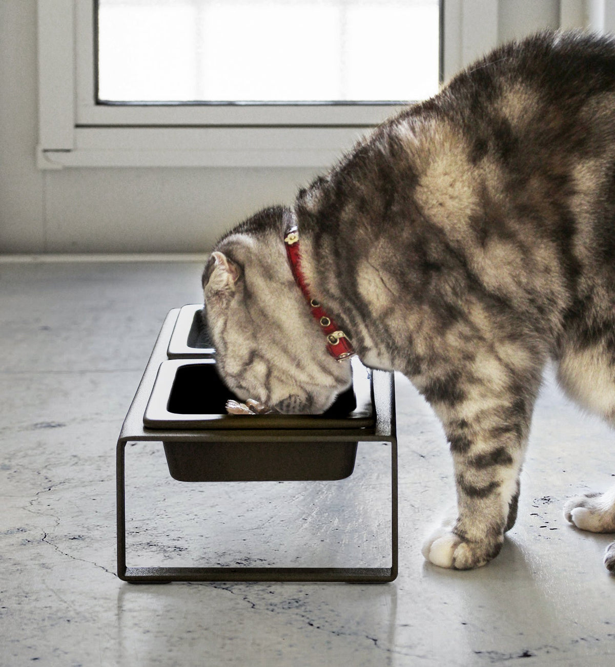 Yamazaki Home Tall Pet Food Bowl - Steel + Ceramic