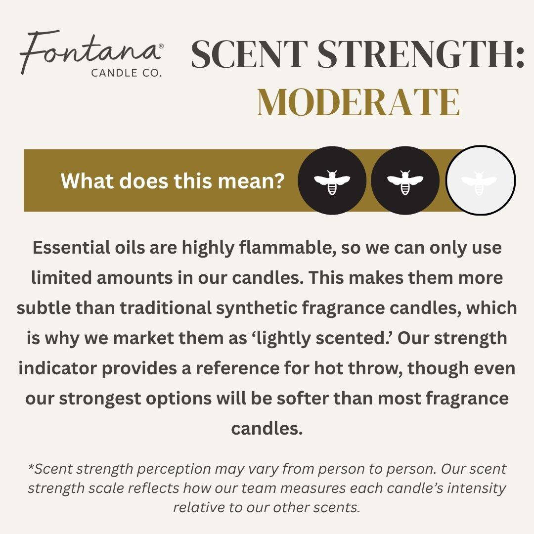 Fontana Candle Co Lavender Jar Candle
