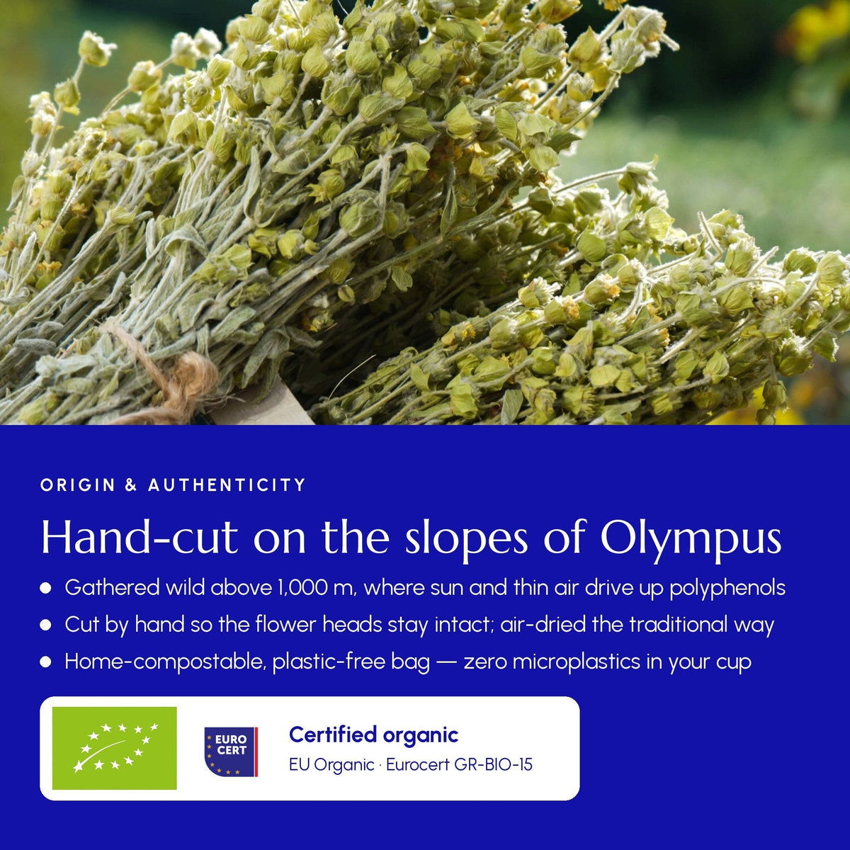 Greek Superherbs Greek Mountain Tea (Mount Olympus)