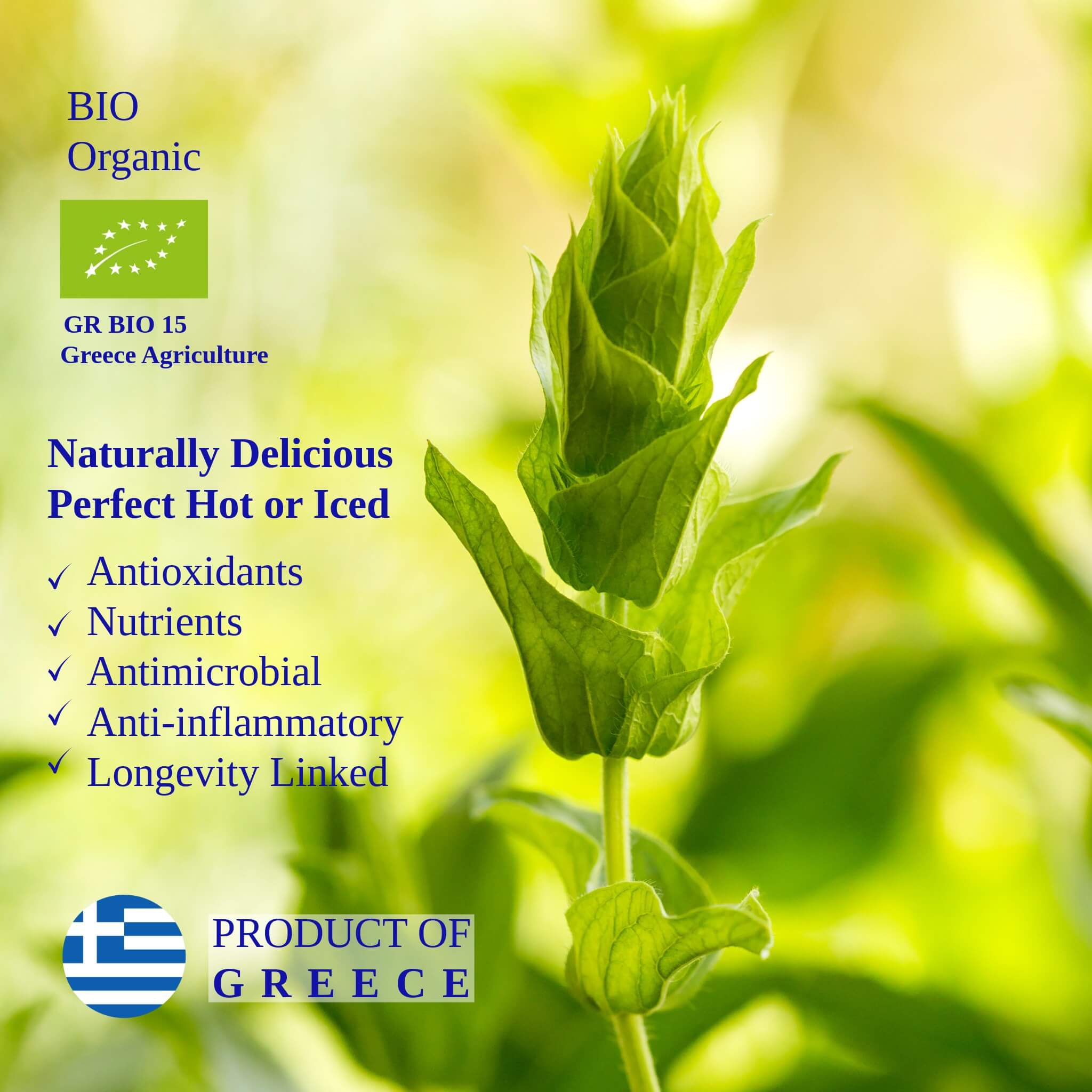 Greek Superherbs Greek Mountain Tea (Mount Olympus)