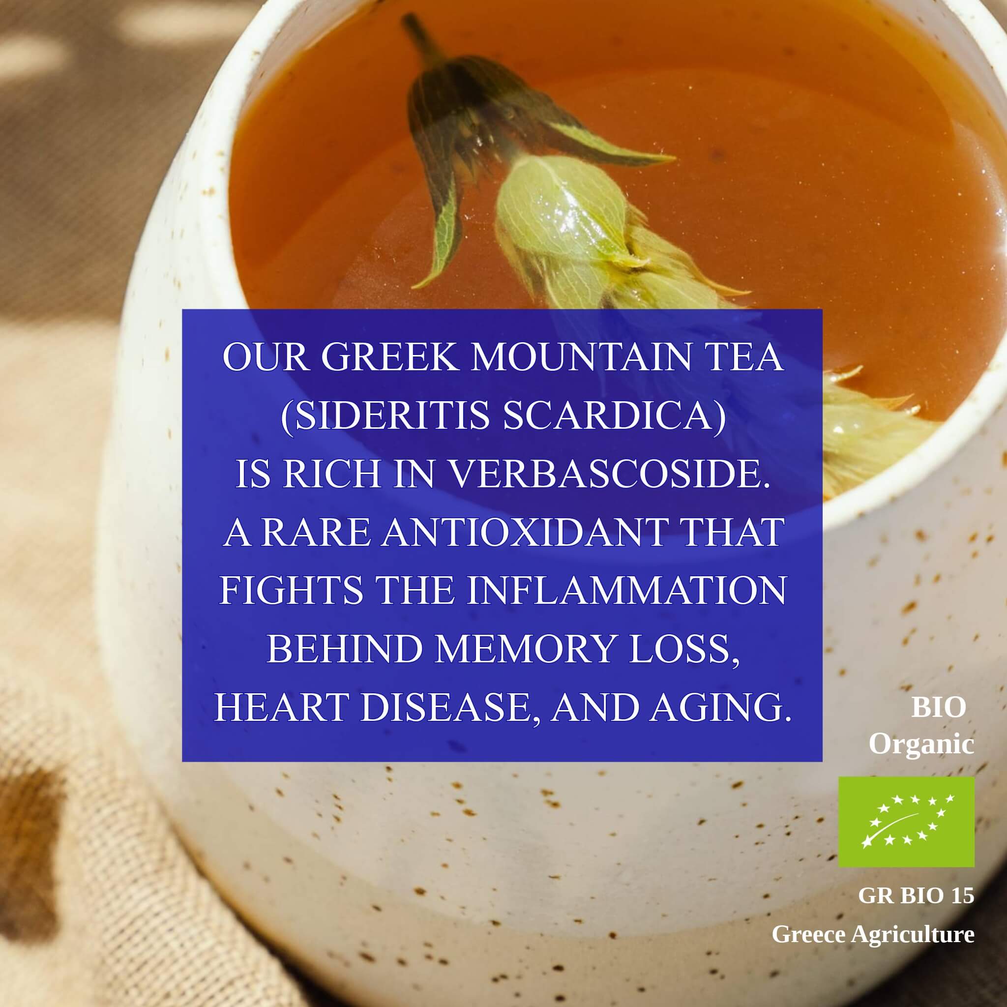 Greek Superherbs Greek Mountain Tea (Mount Olympus)