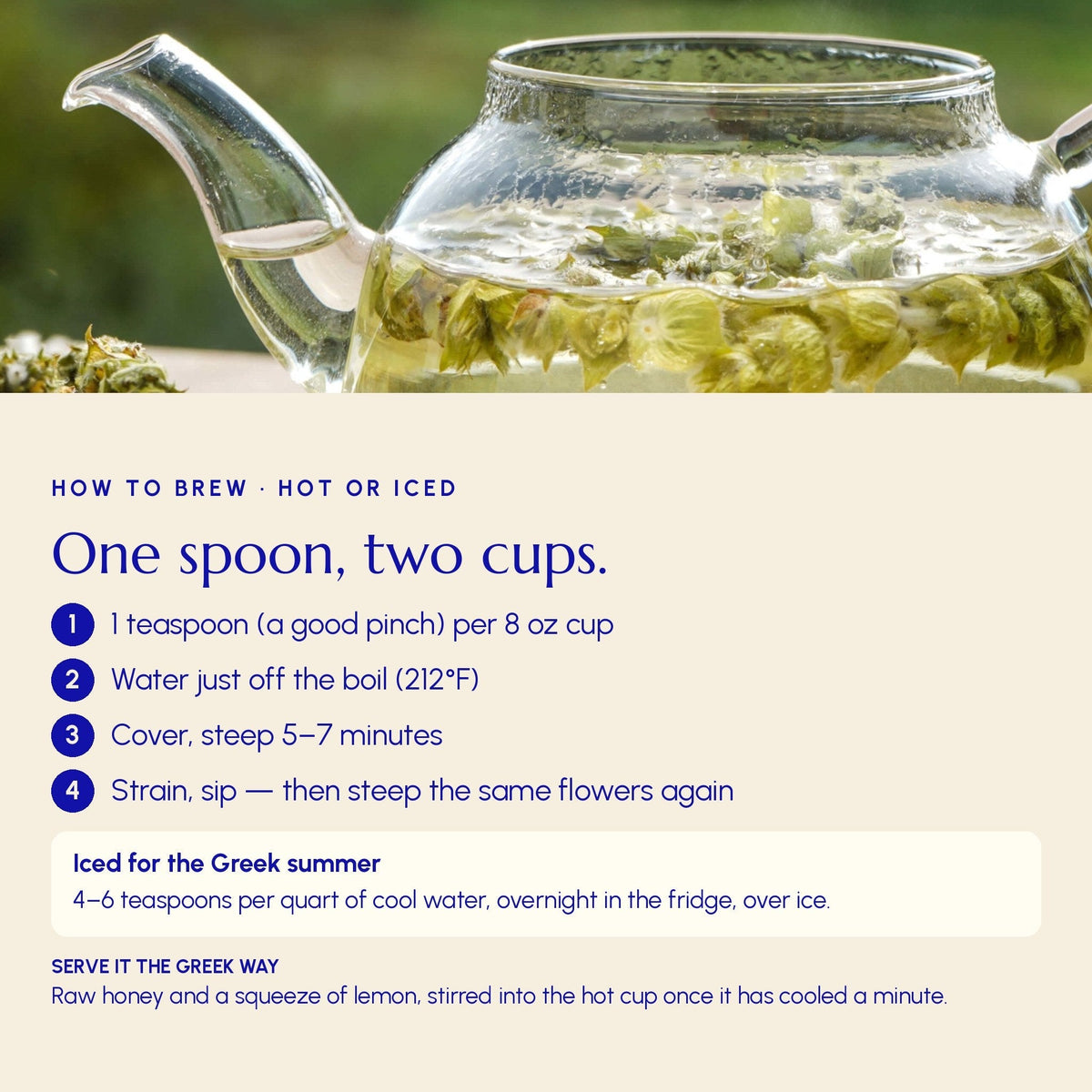 Greek Superherbs Greek Mountain Tea (Mount Olympus)