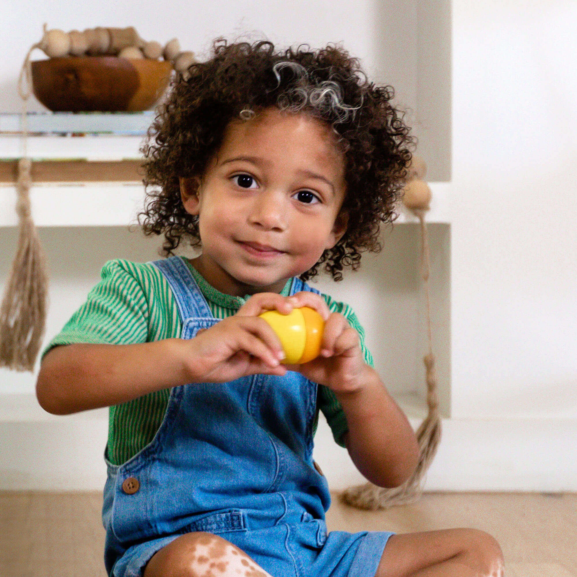 HABA Fun with Sounds Wooden Eggs