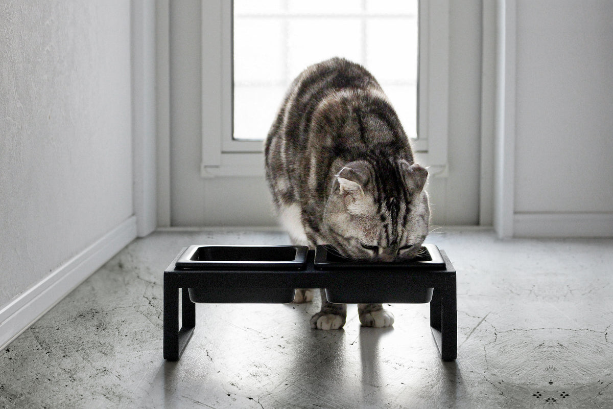 Yamazaki Home Tall Pet Food Bowl - Steel + Ceramic