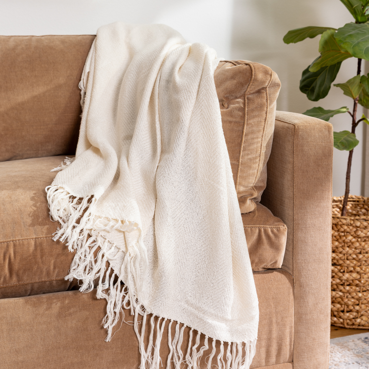 Beige blanket draped over a brown sofa with a plant in the background