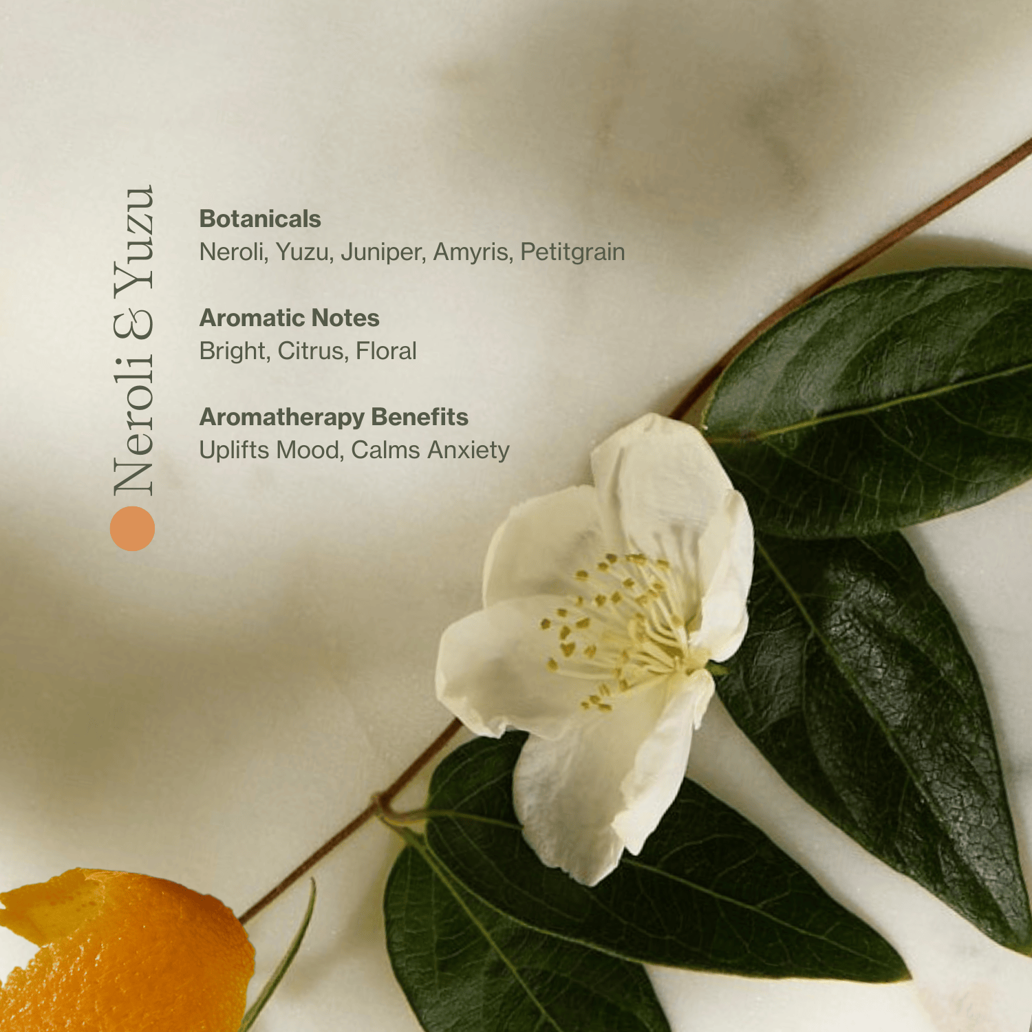 Apoterra Vitamin C Body Oil