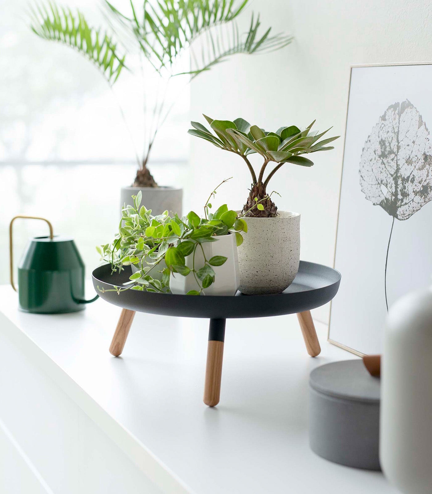 Yamazaki Home Countertop Pedestal Tray (5" H)  - Steel + Wood