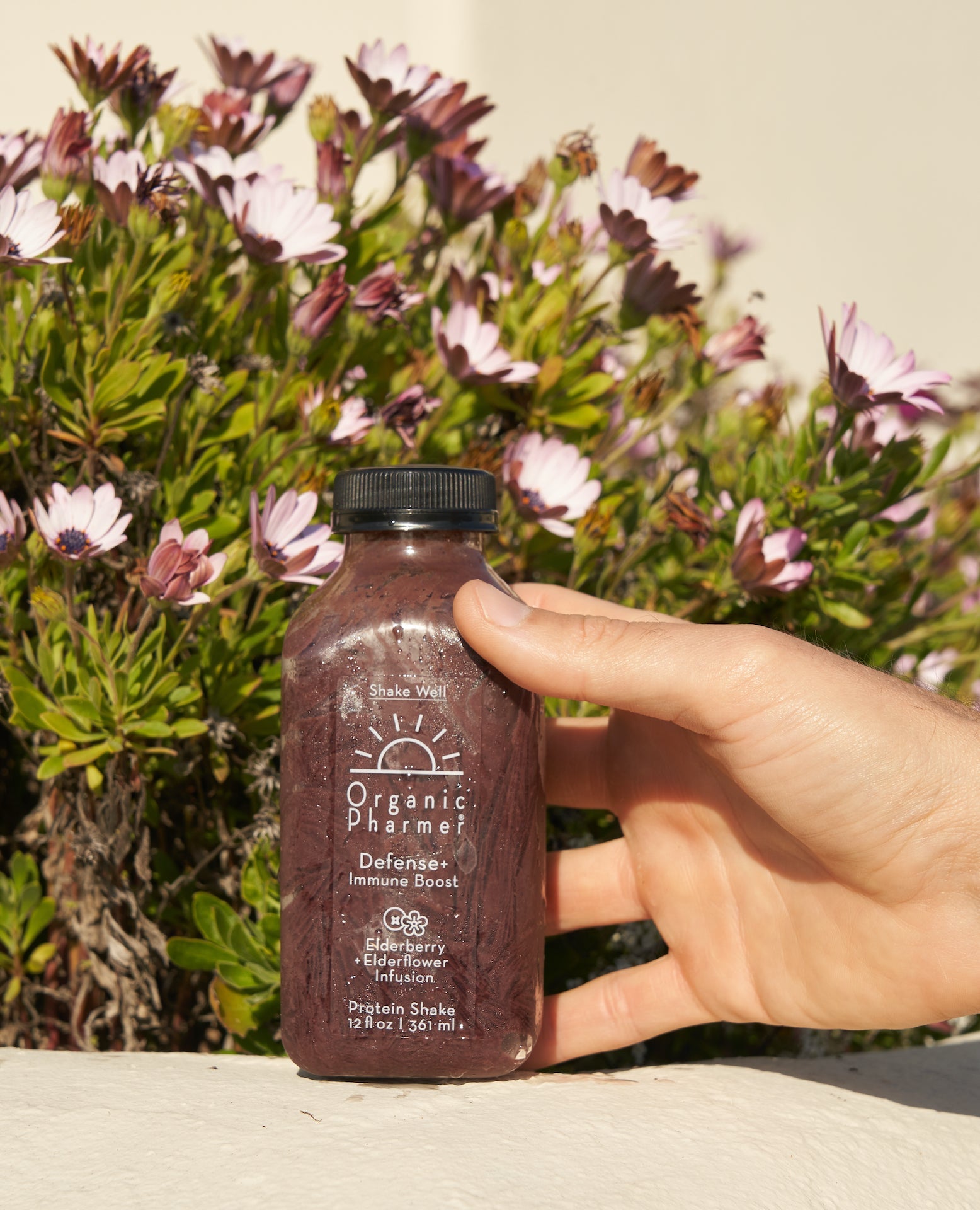 Organic Pharmer Defense+ Protein Shake Packs - Wellness Boosters