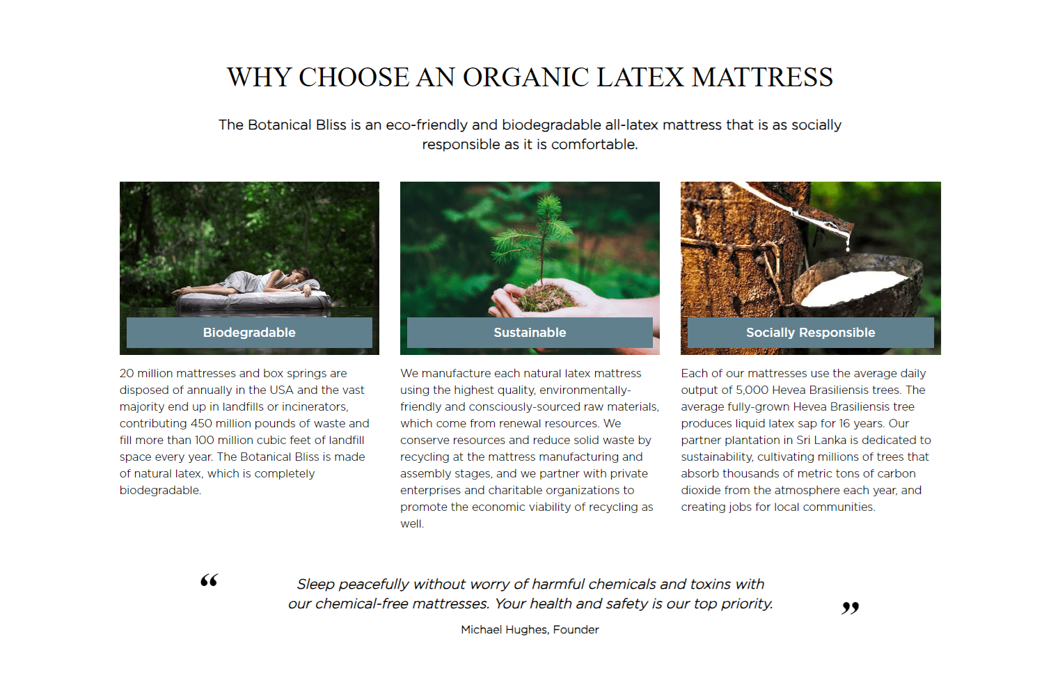 Plush Beds Organic Latex Mattress - The Botanical Bliss