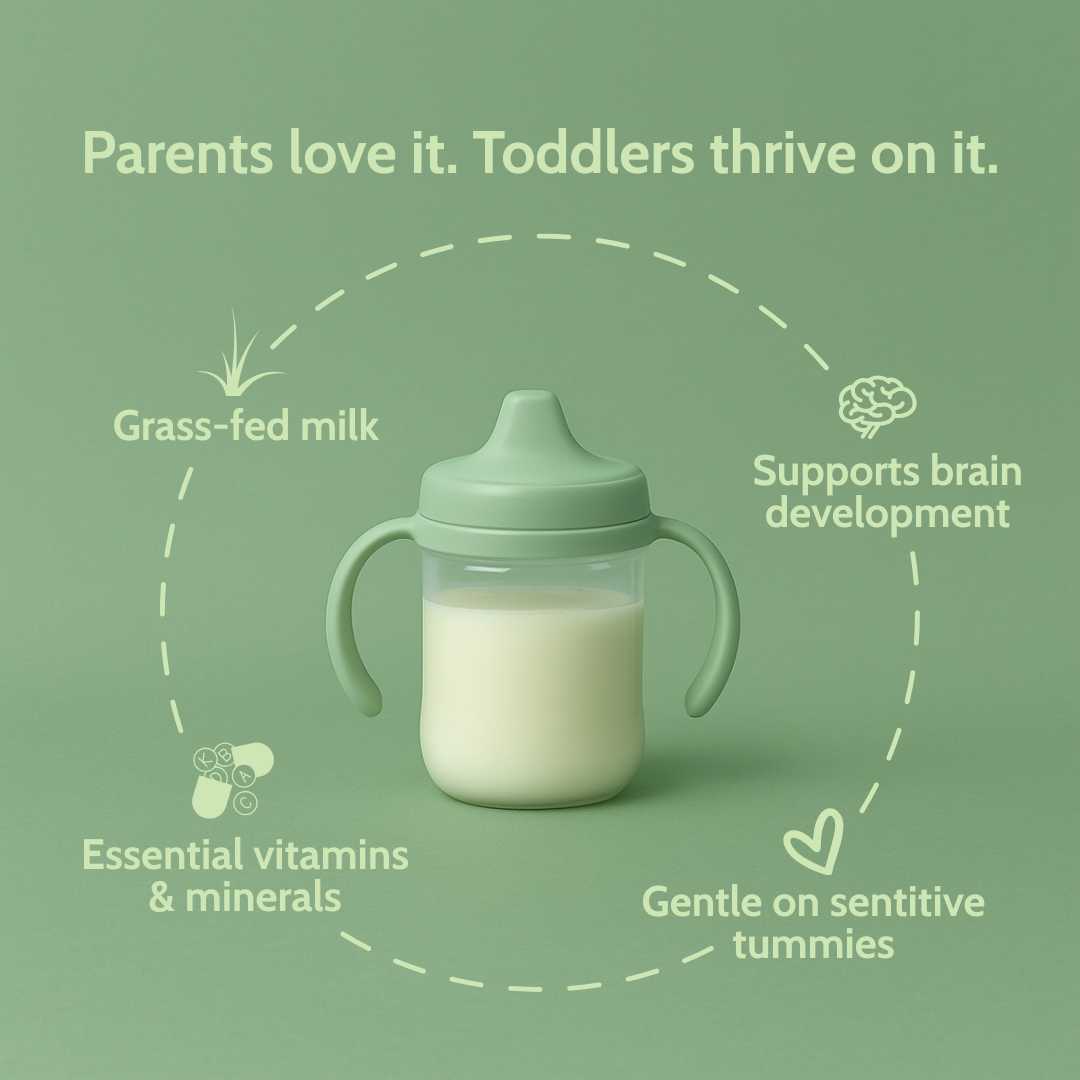 Holle Goat Milk Toddler Drink - Stage 3 | Non GMO (14 oz)