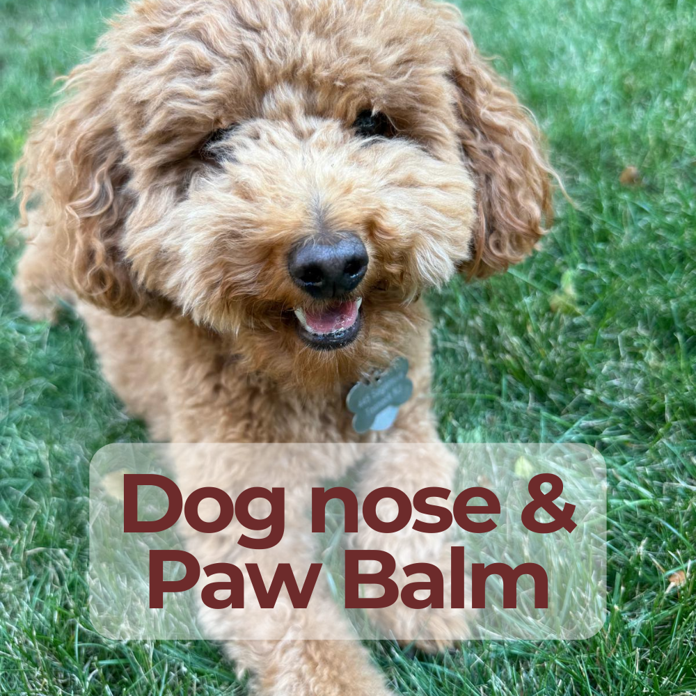 Ora's Amazing Herbal Pet Salve & Lavender Balm
