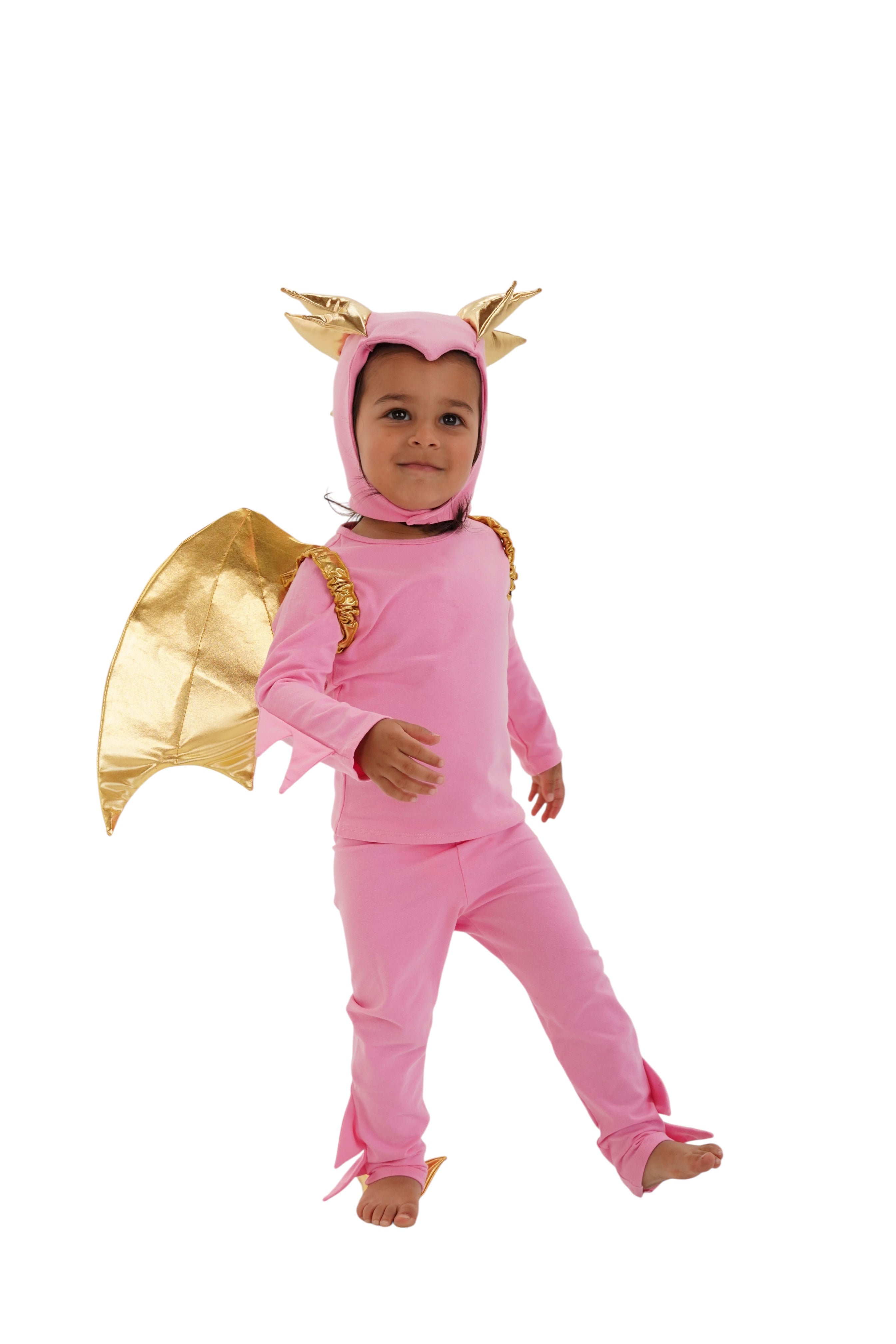 Band of the Wild Pink Sky Dragon