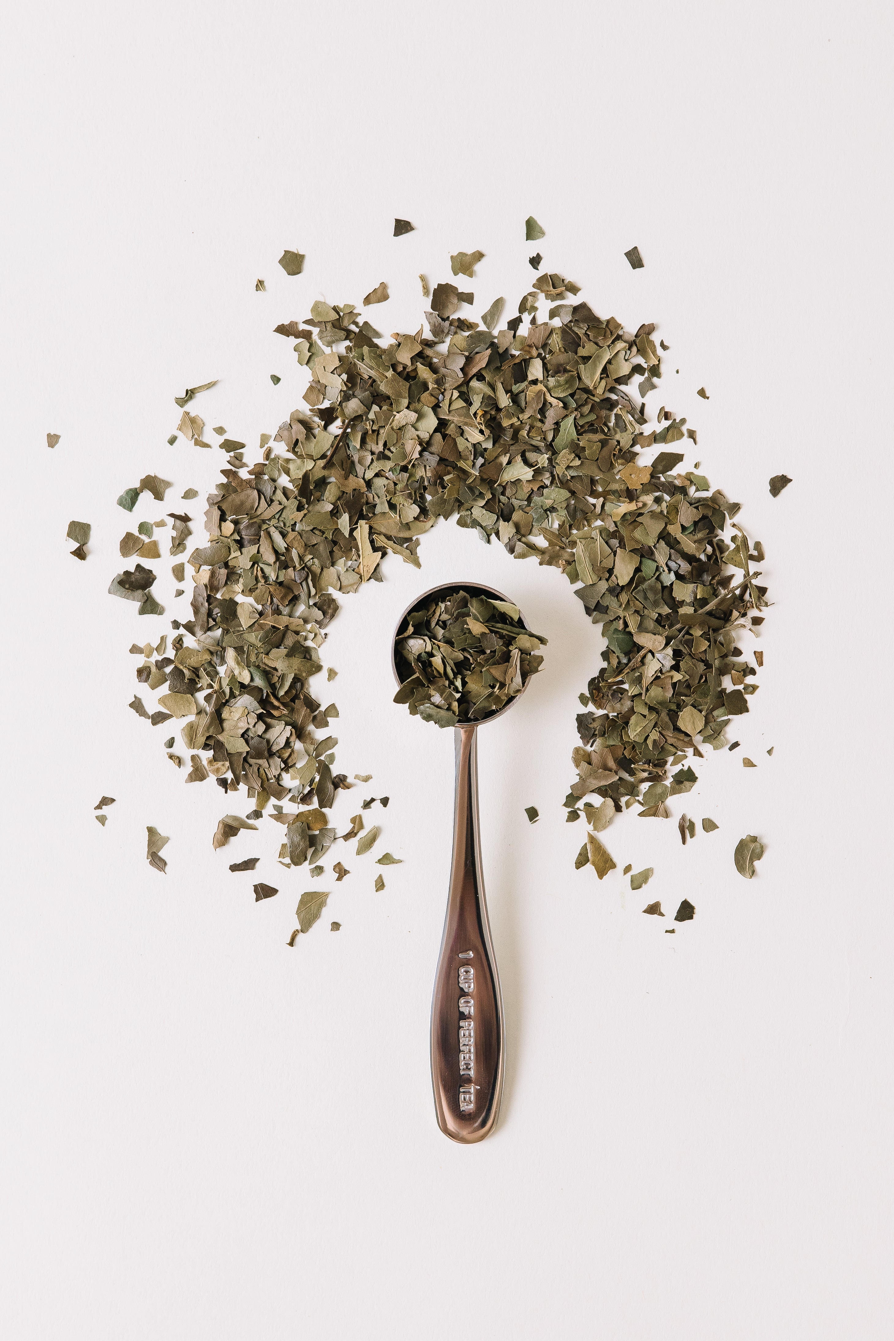 CatSpring Yaupon Perfect Tea Spoon – Precise 1 tbsp Measure for Loose Leaf Yaupon