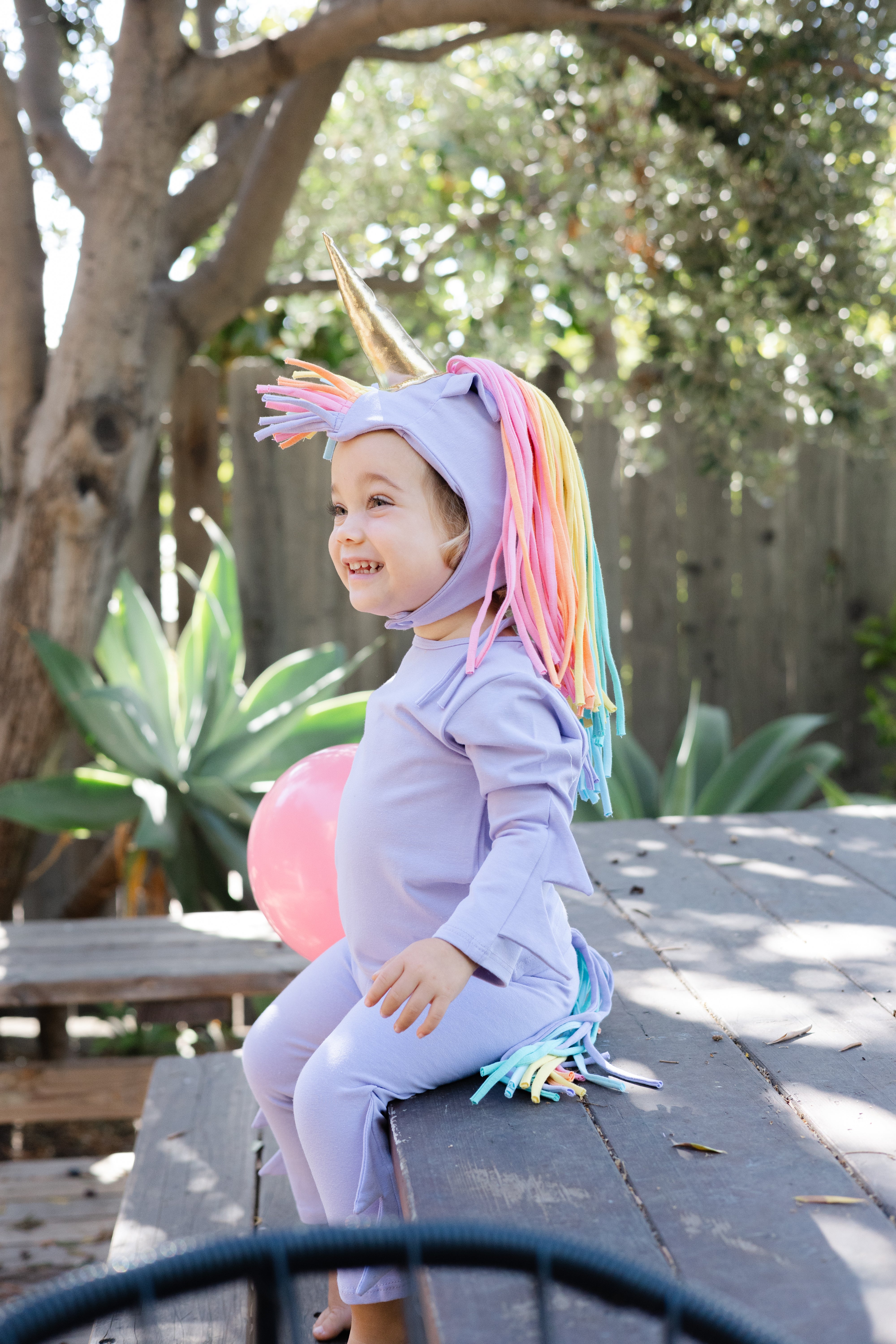 Band of the Wild Lavender Sky Unicorn