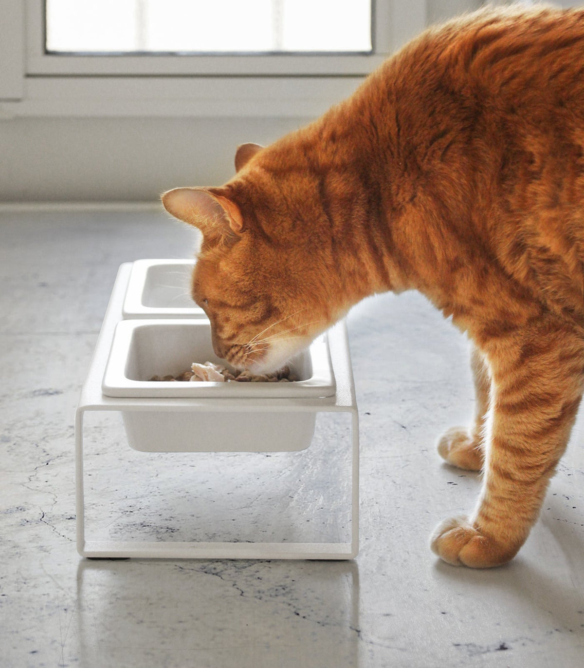 Yamazaki Home Tall Pet Food Bowl - Steel + Ceramic