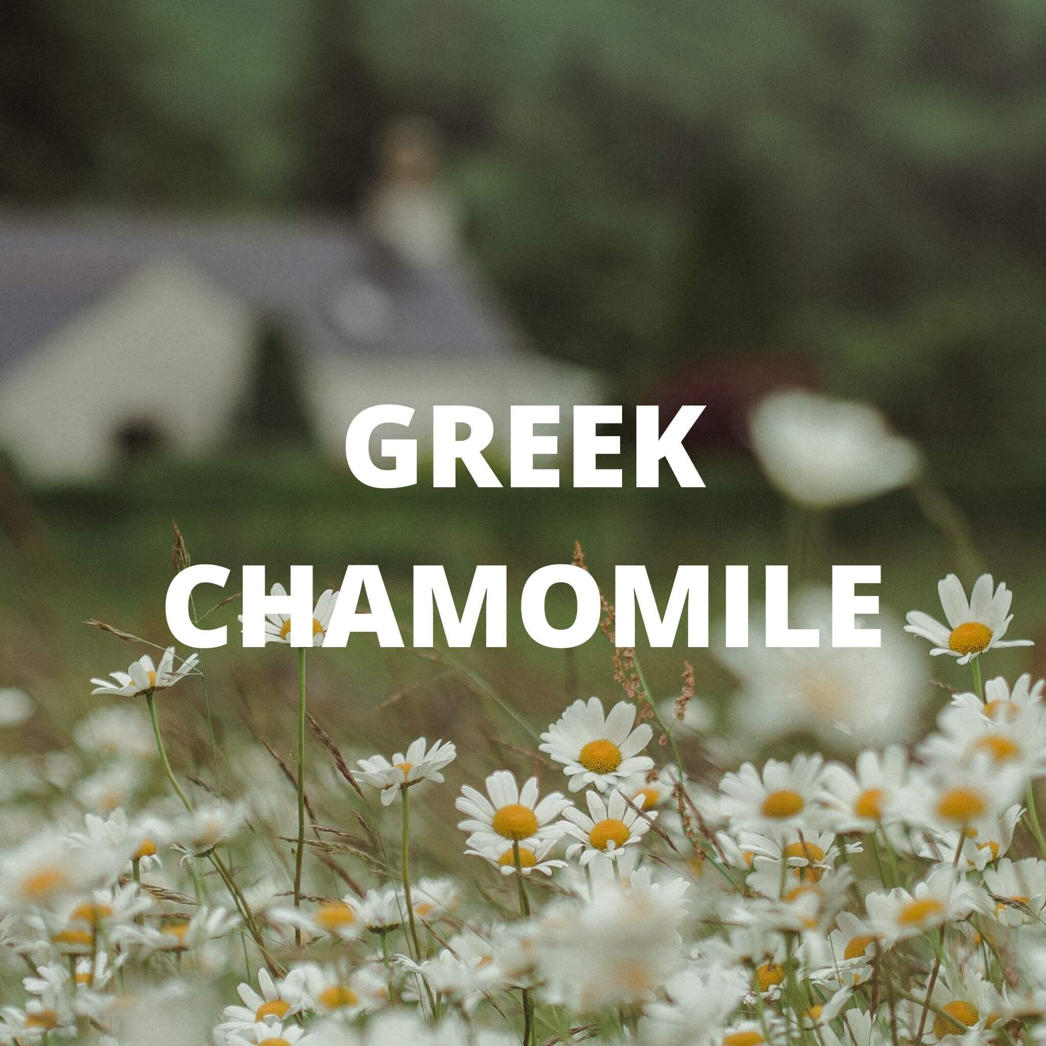 Greek Superherbs Santorini Tea