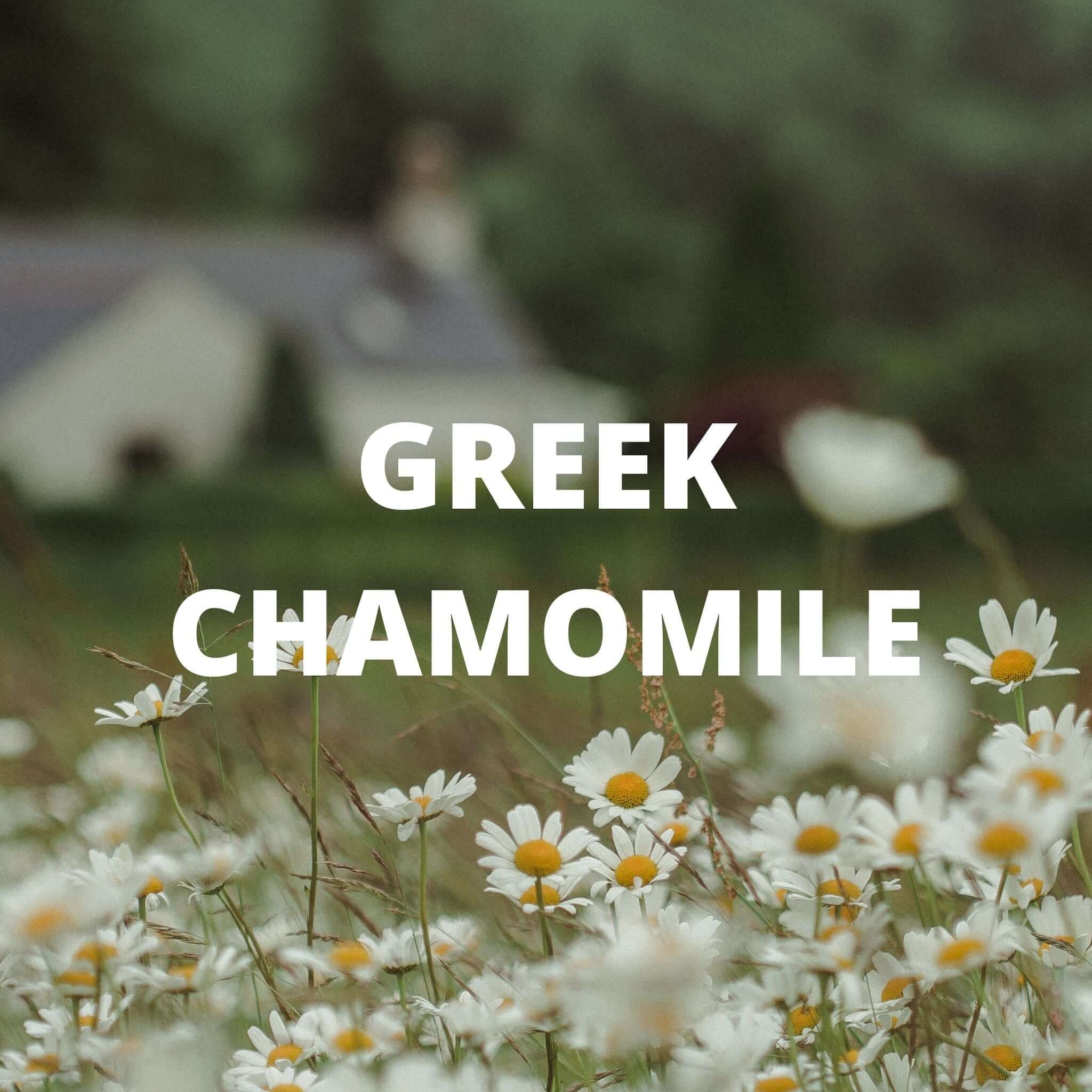 Greek Superherbs Calm Tea