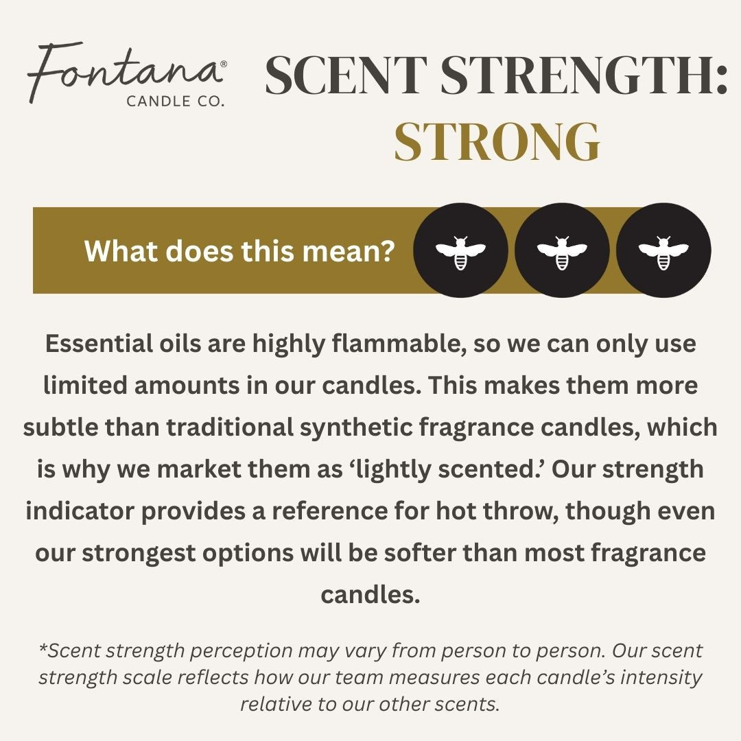 Fontana Candle Co Spiced Latte Jar Candle