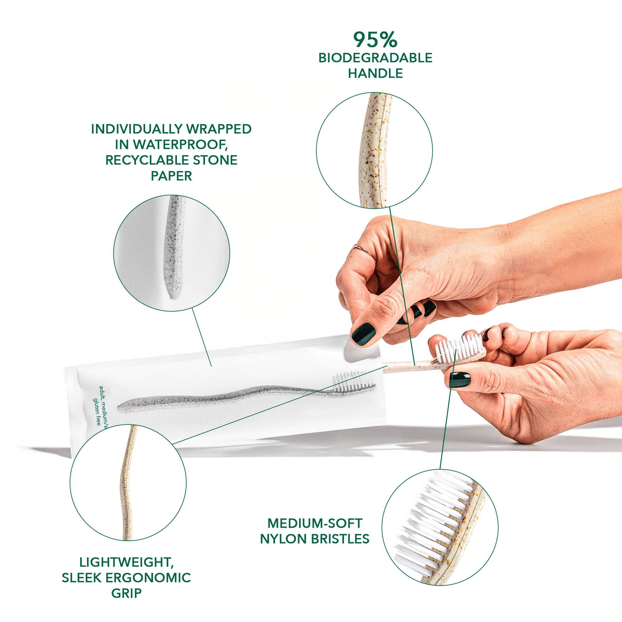 Terra & Co. Gentle Green Toothbrush Family Pack (10 Count) – Eco-Friendly Wheat Straw Toothbrushes for Sensitive Teeth | BPA-Free, Travel-Friendly, Plastic-Free