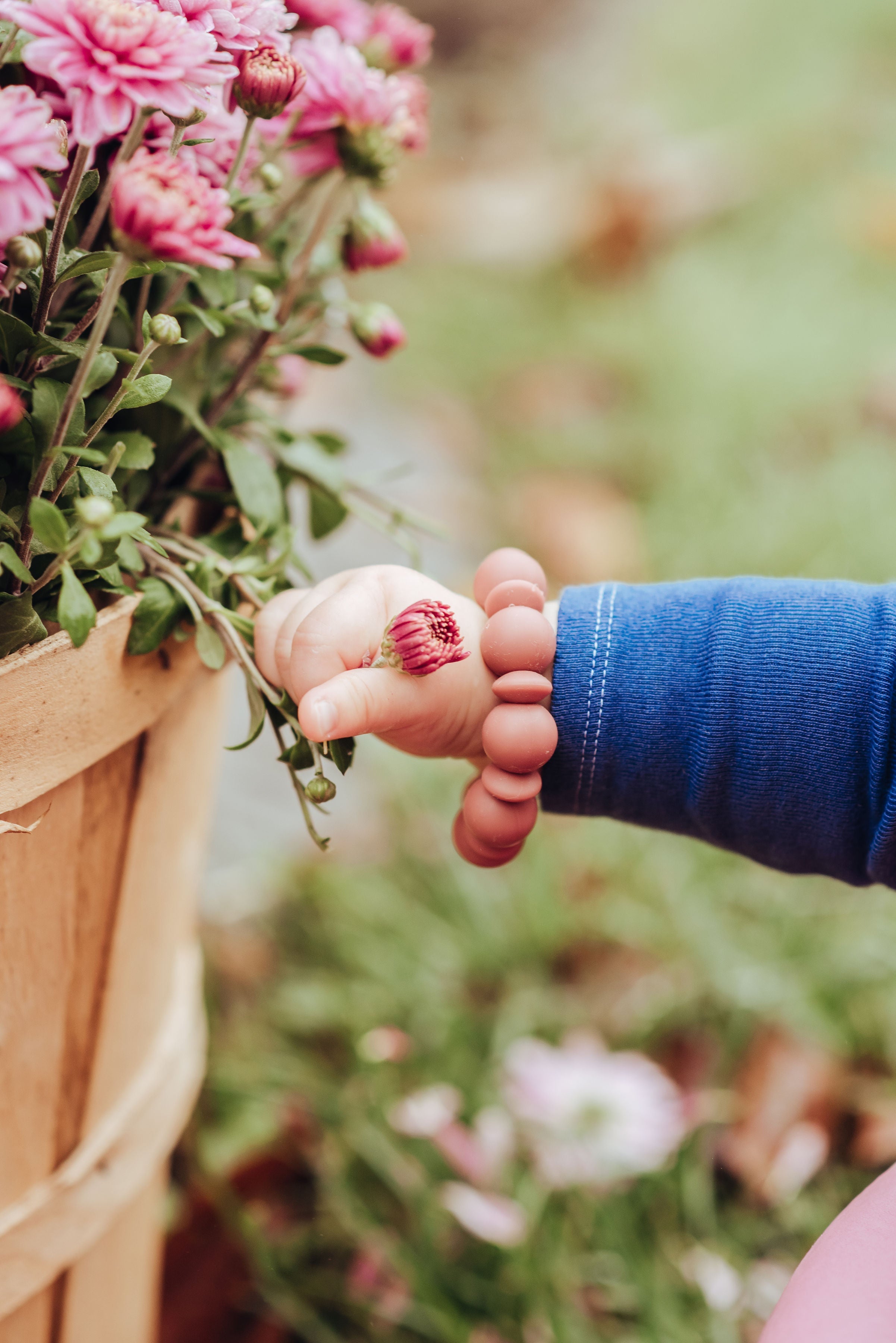 Child's hand holding a pink flower next to a potted plant with pink flowers.