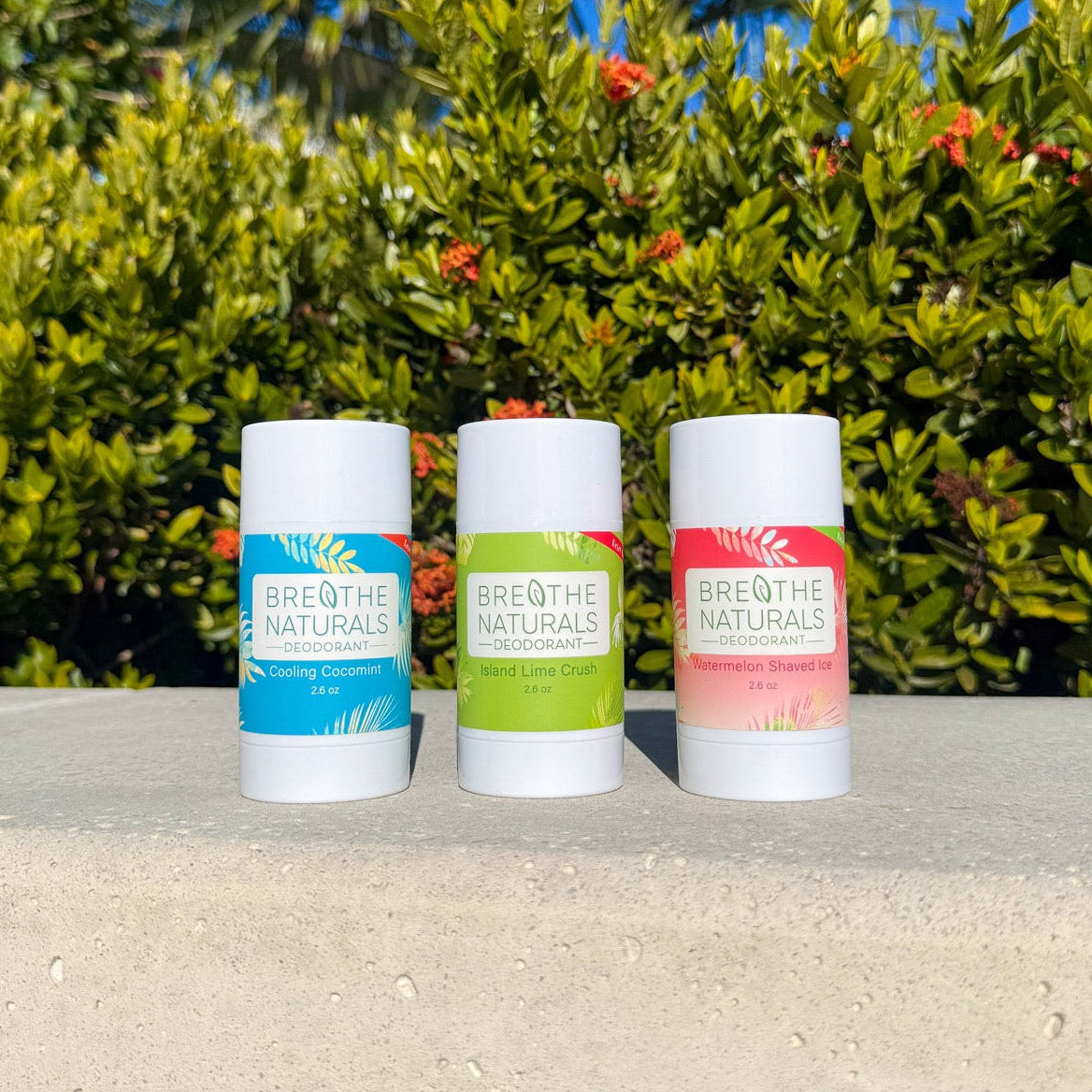 Breathe Naturals Deodorant The Summer Pit Pack