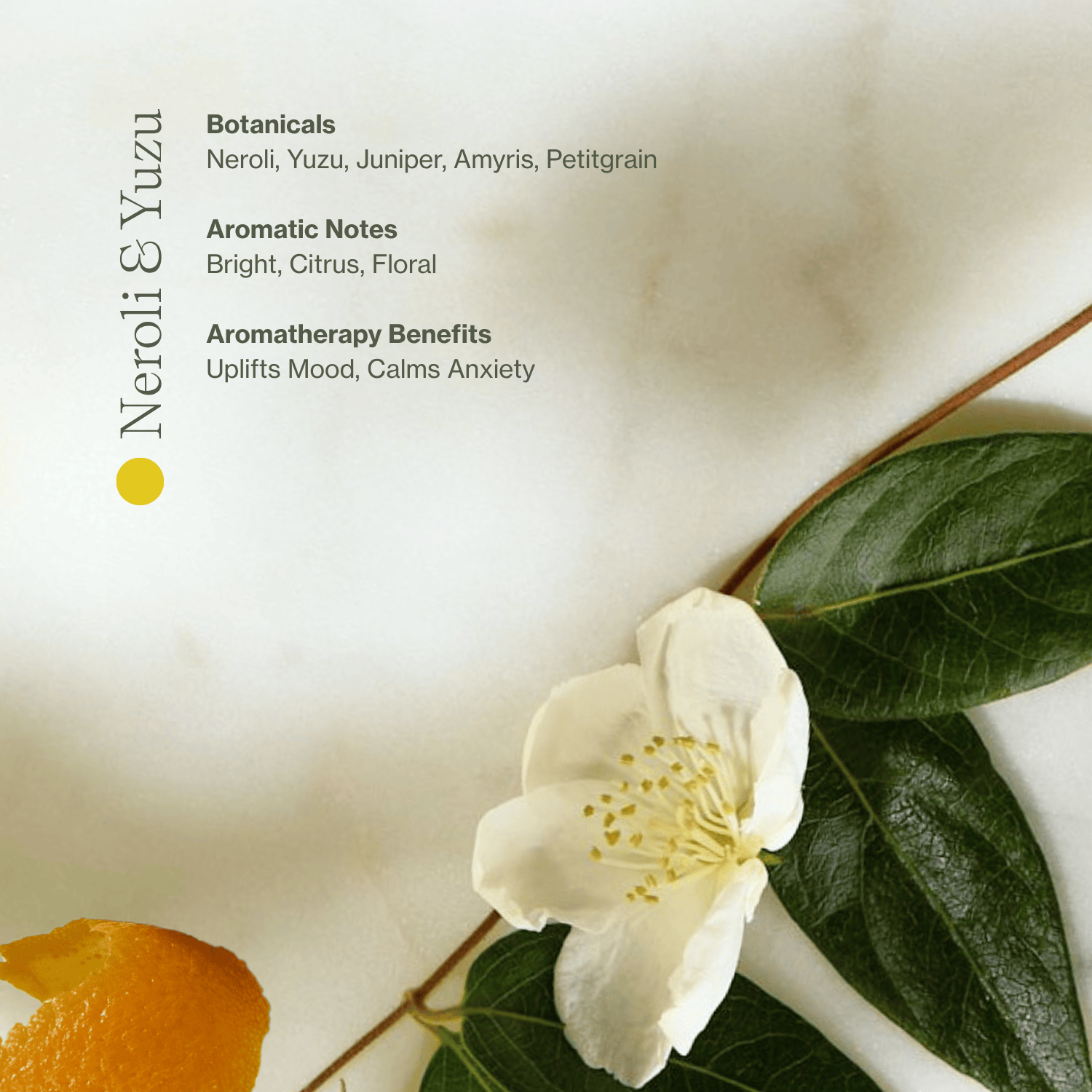 Apoterra Vitamin C Body Oil